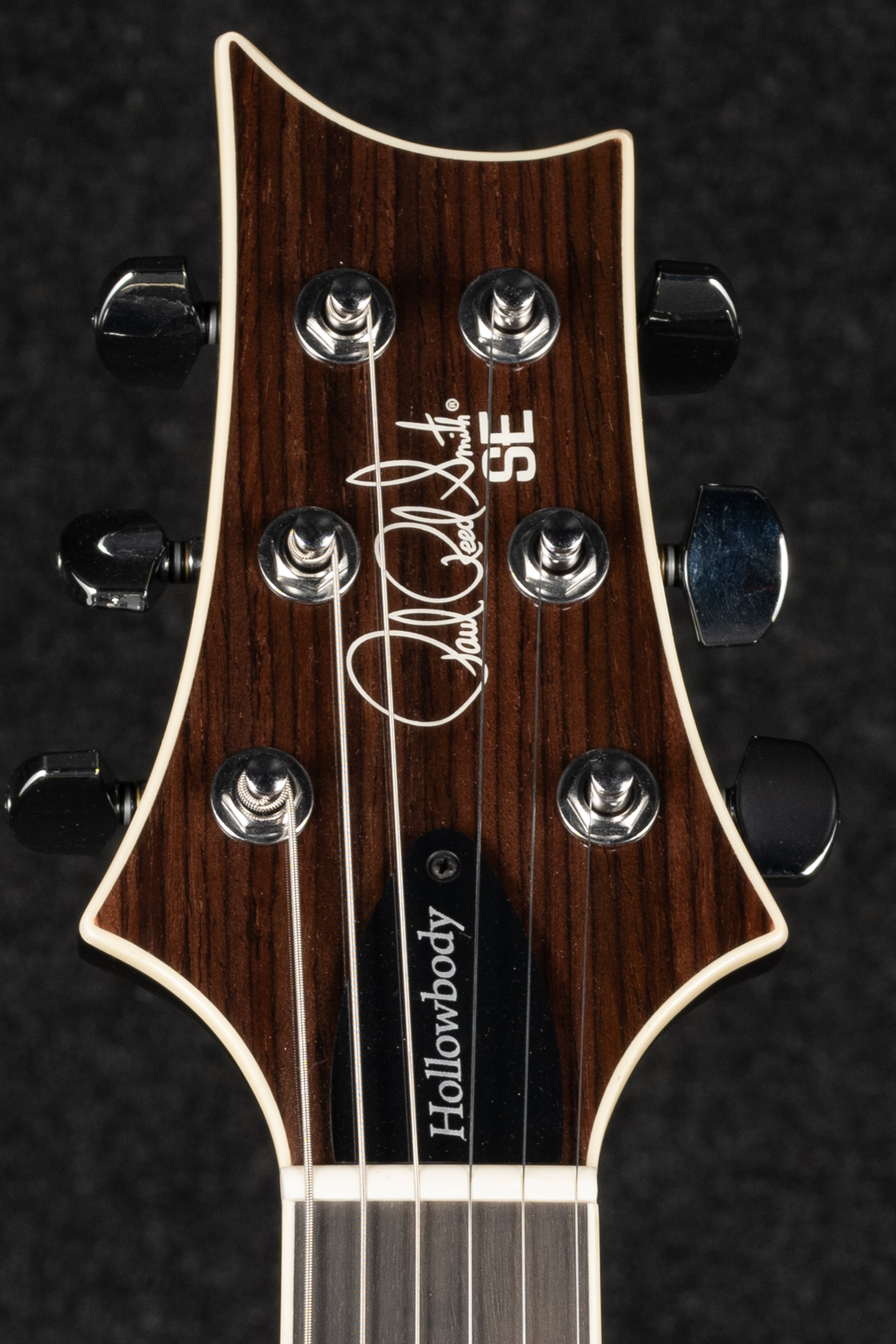 SE Hollowbody Standard Piezo - Doghair