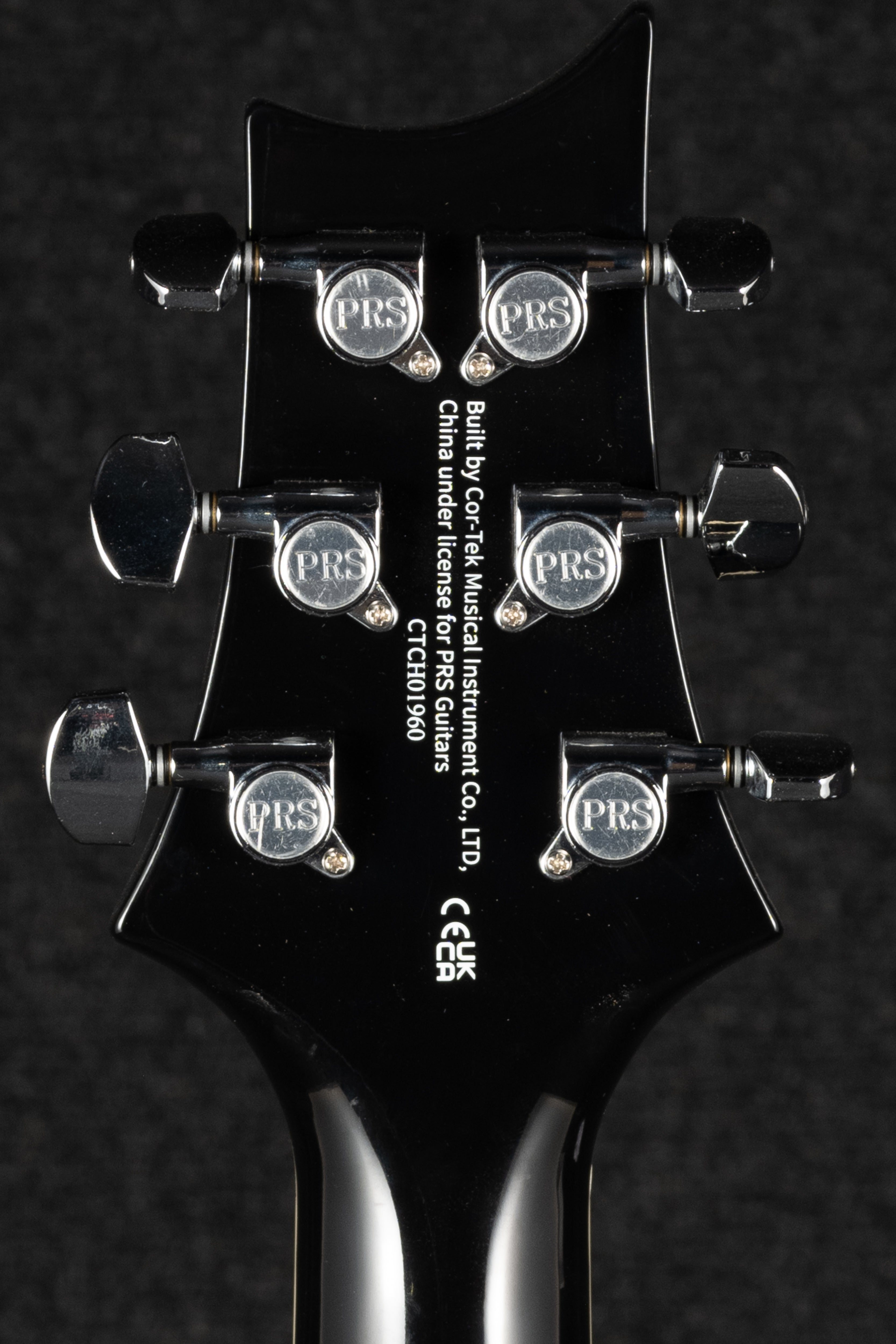 SE Hollowbody Standard Piezo - Doghair