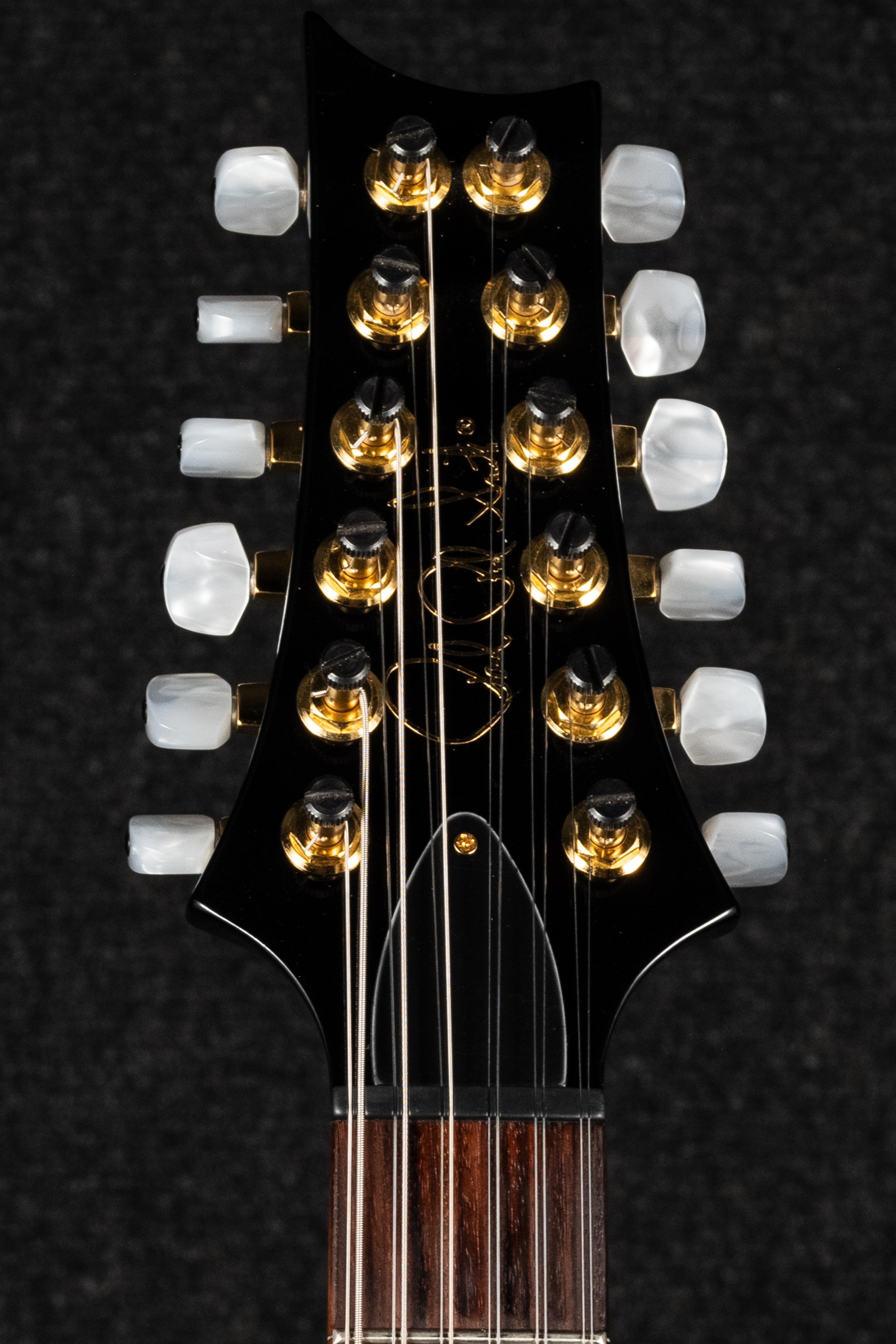 Hollowbody 12-String - Black
