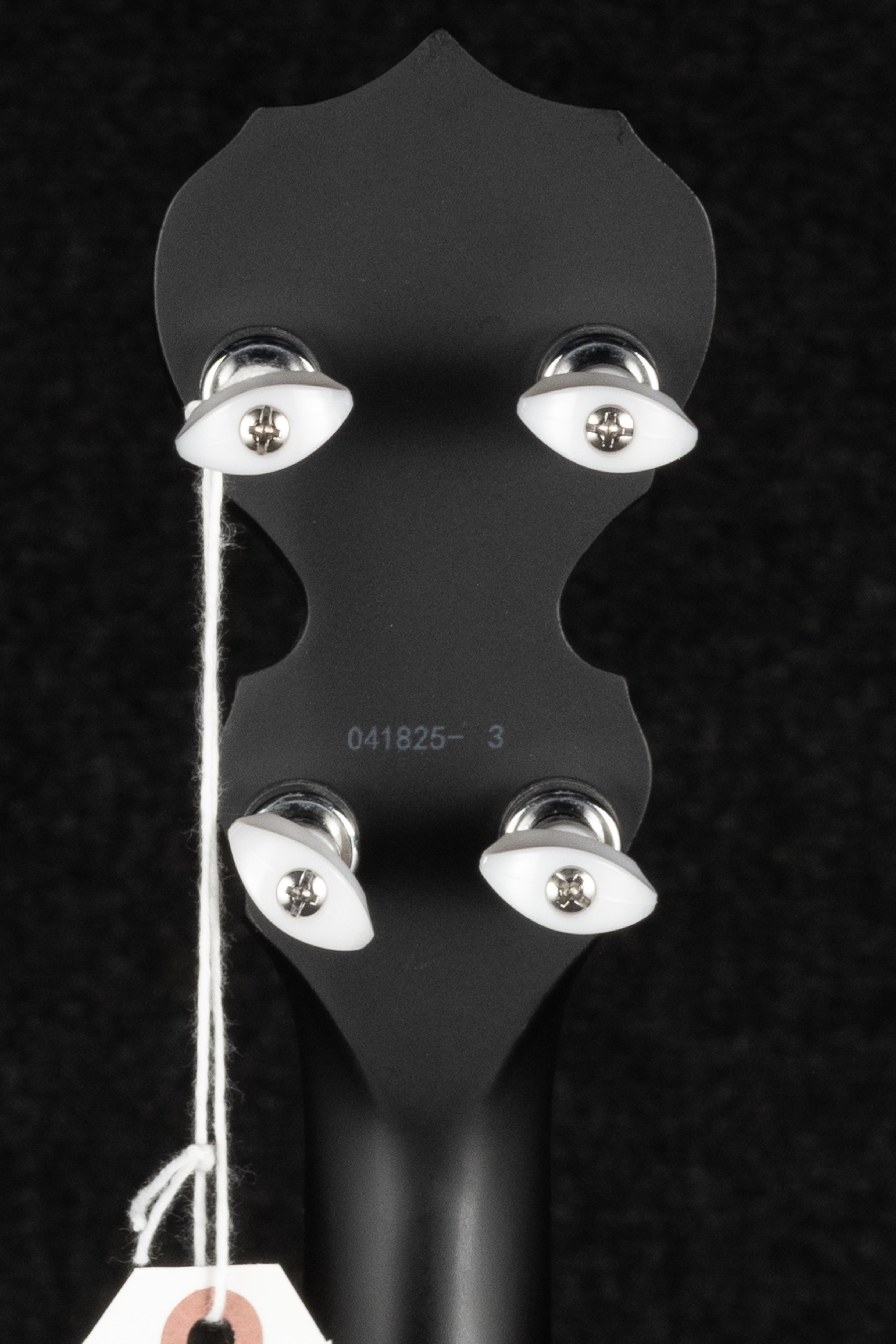 Goodtime Blackgrass Banjo