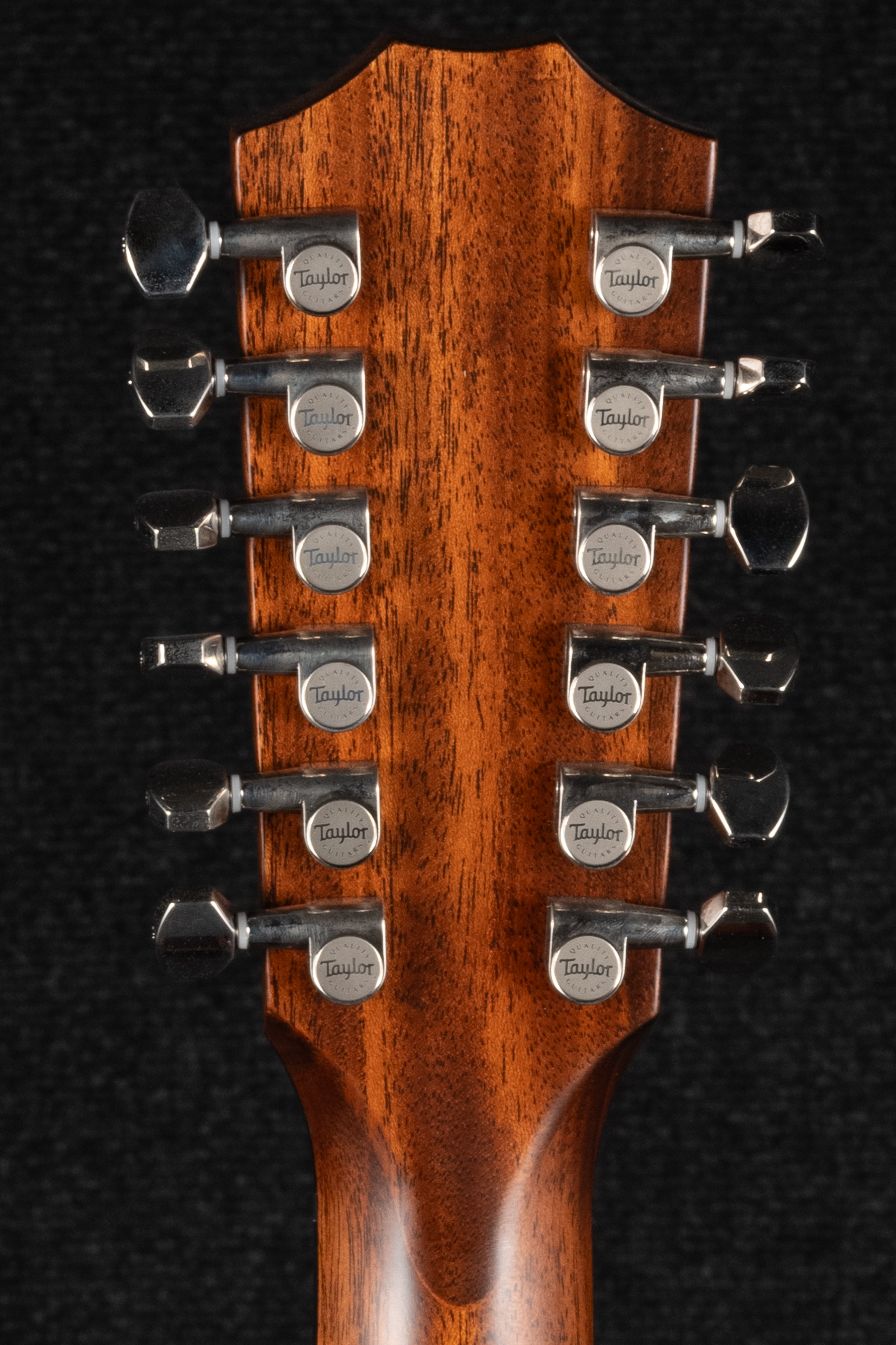 354ce 12-String Grand Auditorium Sitka/Sapele