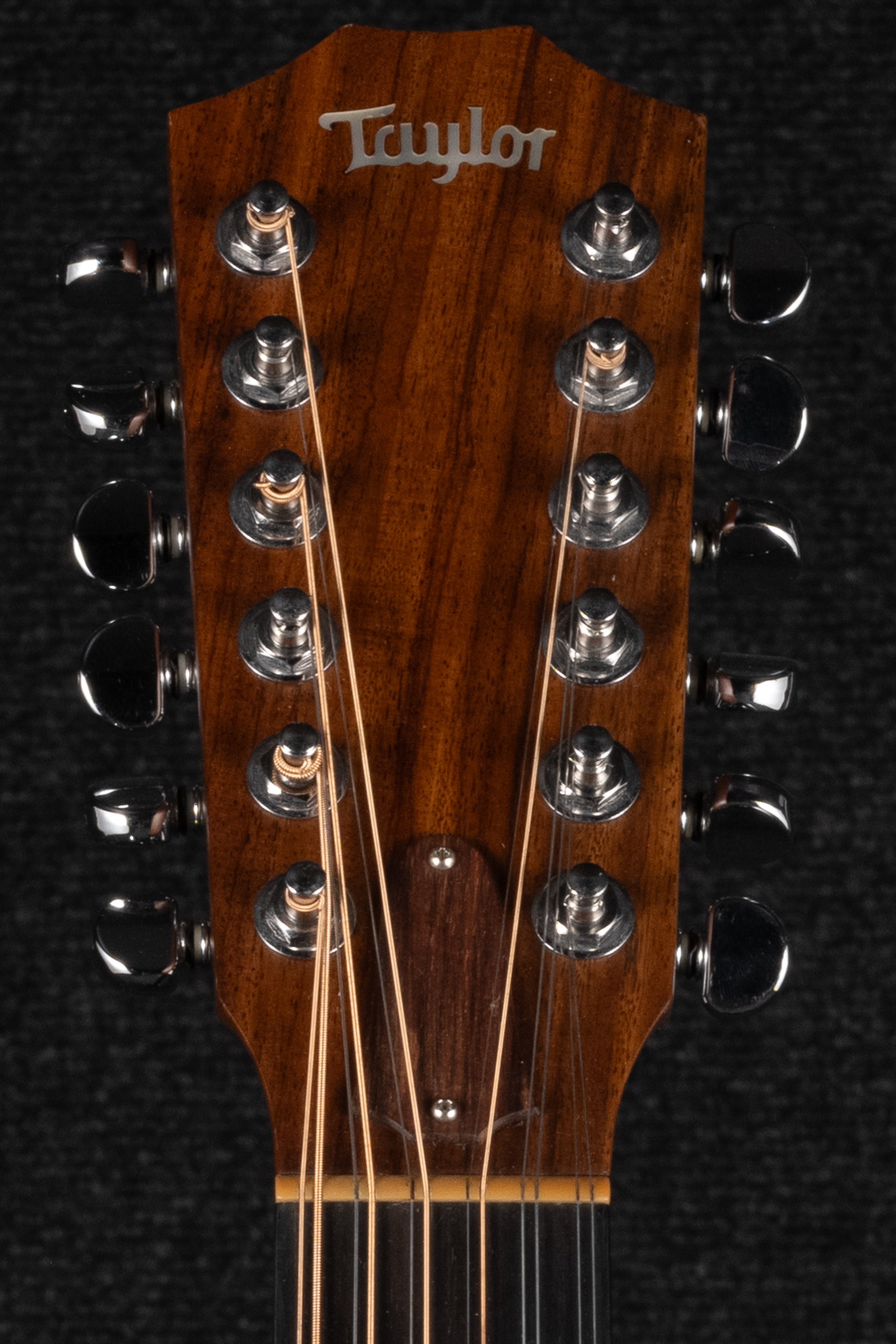 555 12 String Jumbo Acoustic