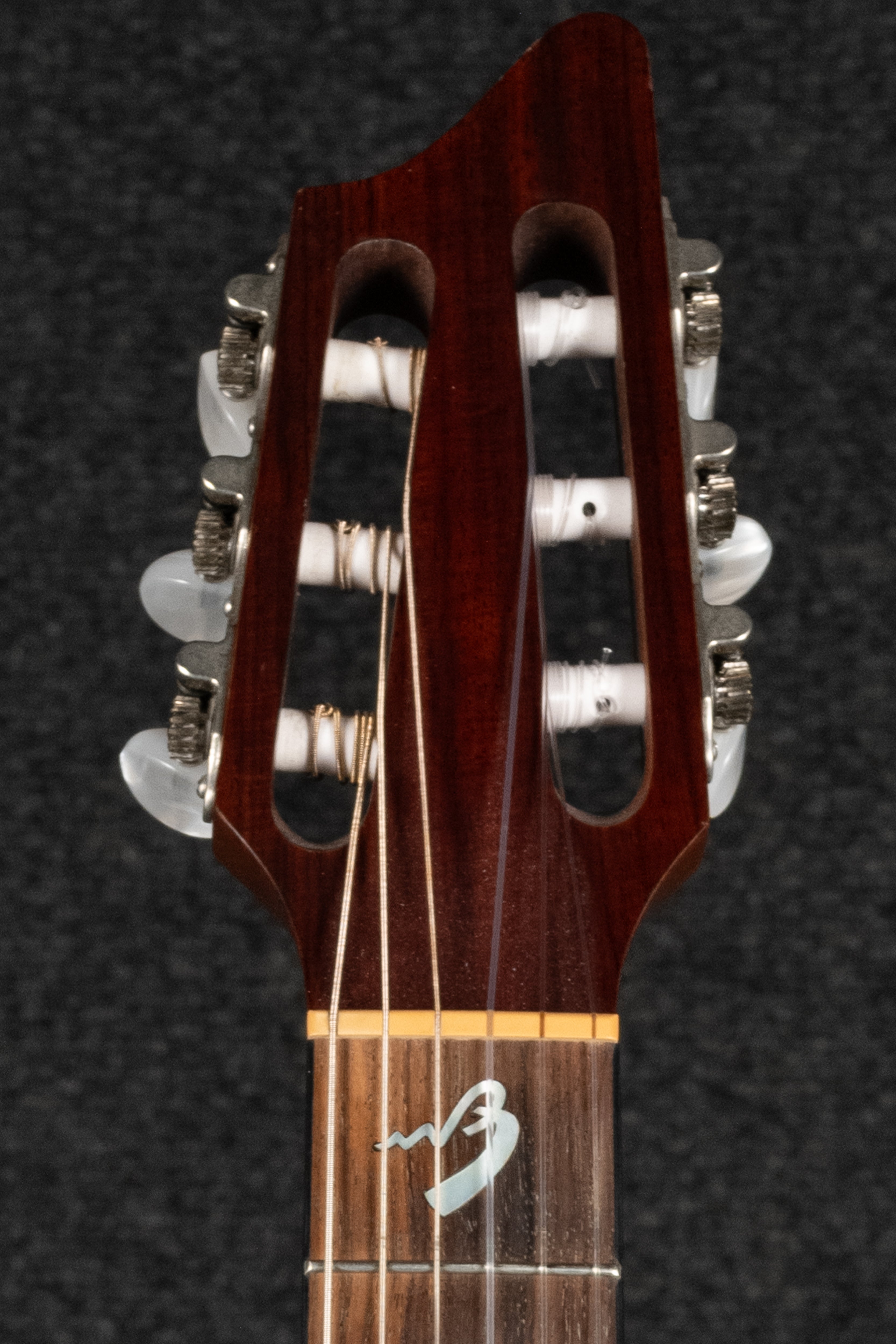 AN250/CR Nylon Acoustic
