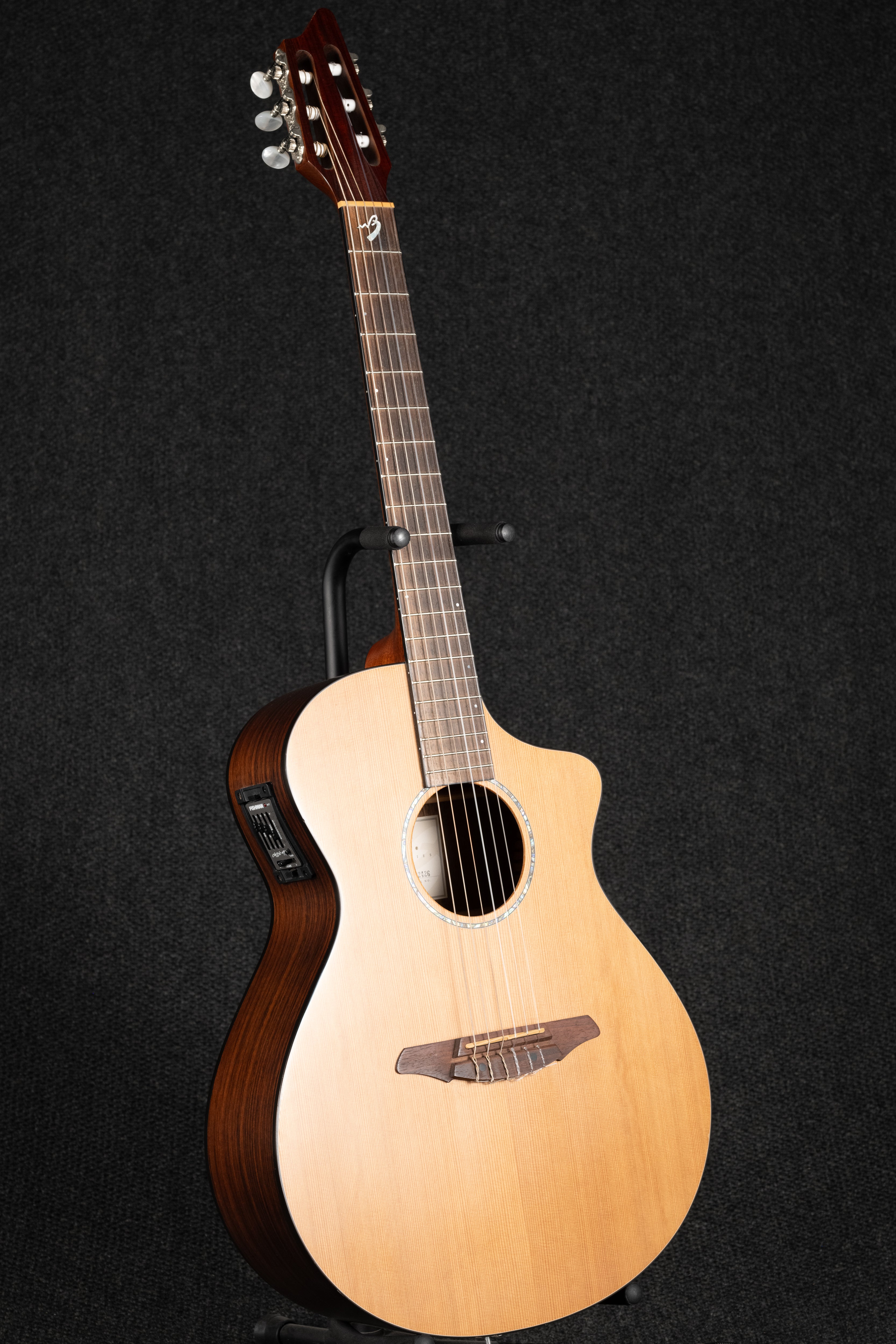 AN250/CR Nylon Acoustic