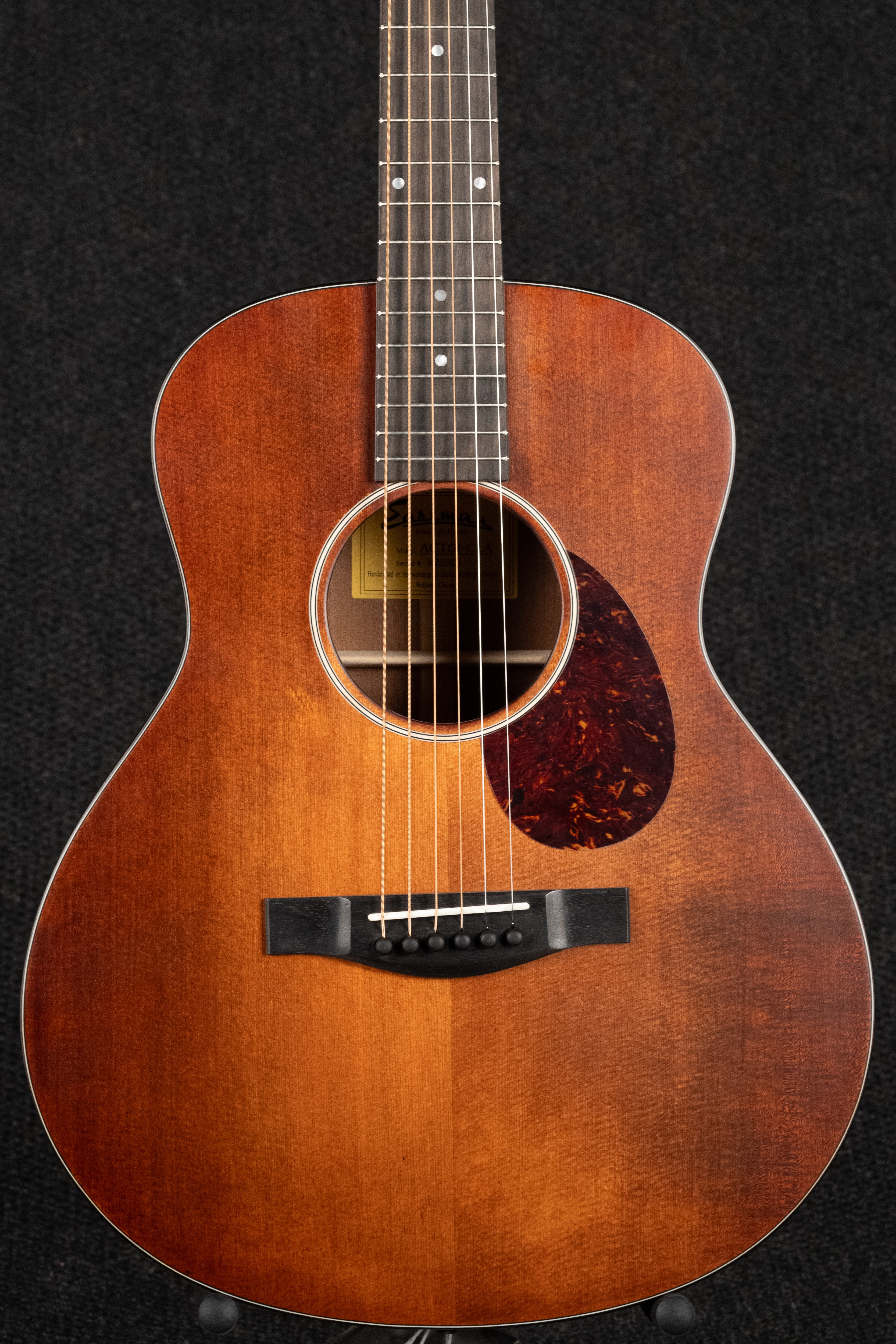 ACTG1-CLA Acoustic