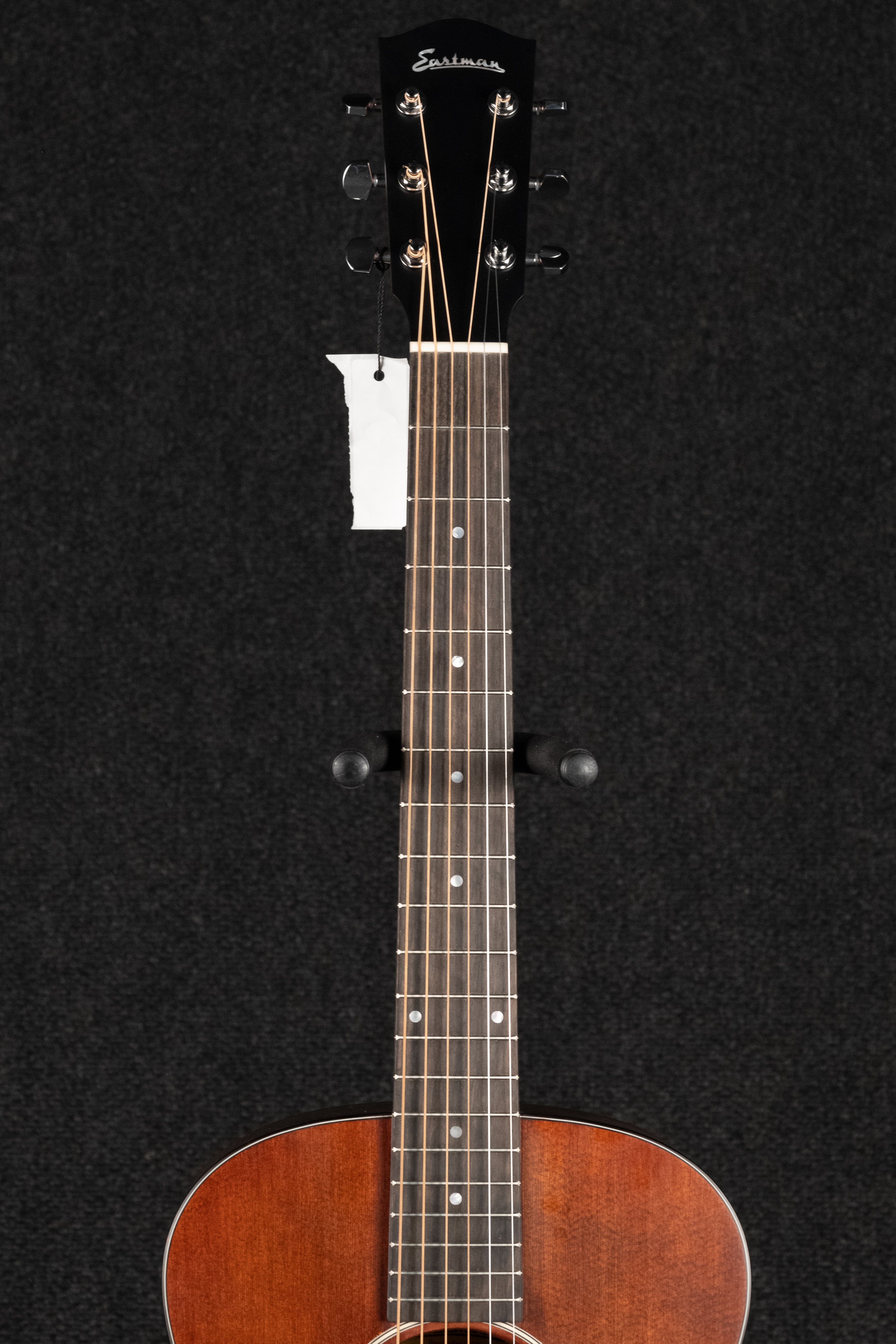 ACTG1-CLA Acoustic