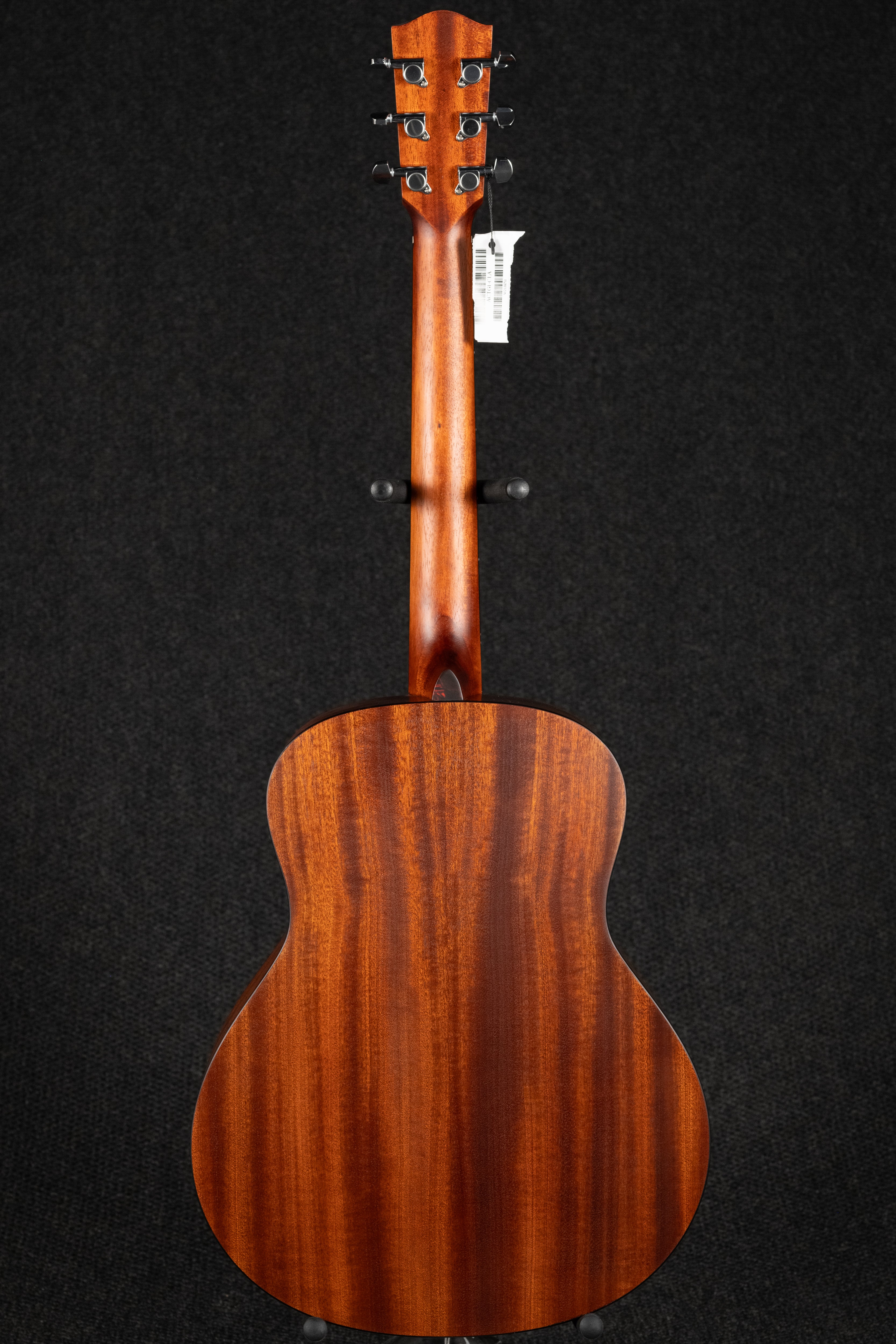 ACTG1-CLA Acoustic