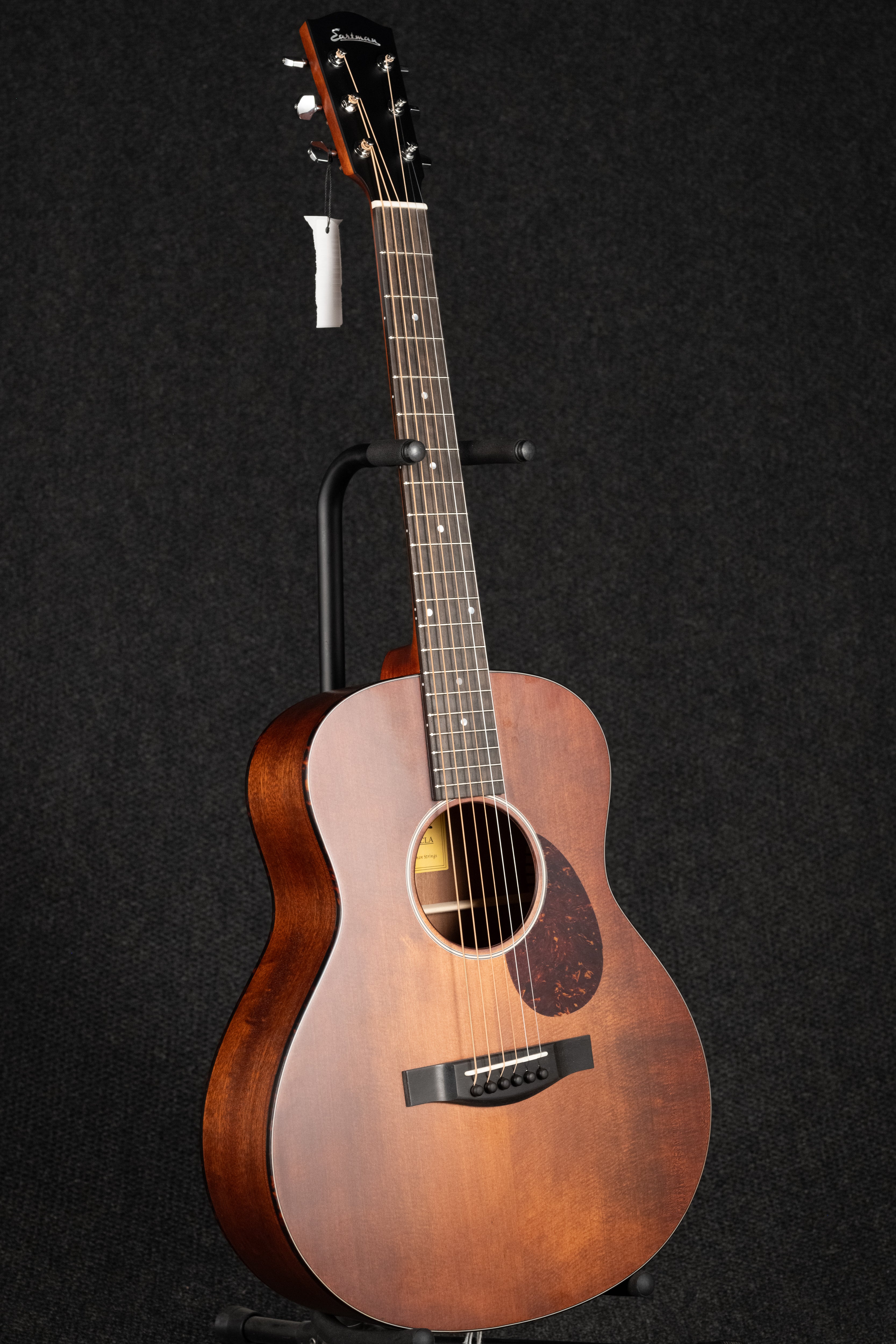 ACTG1-CLA Acoustic