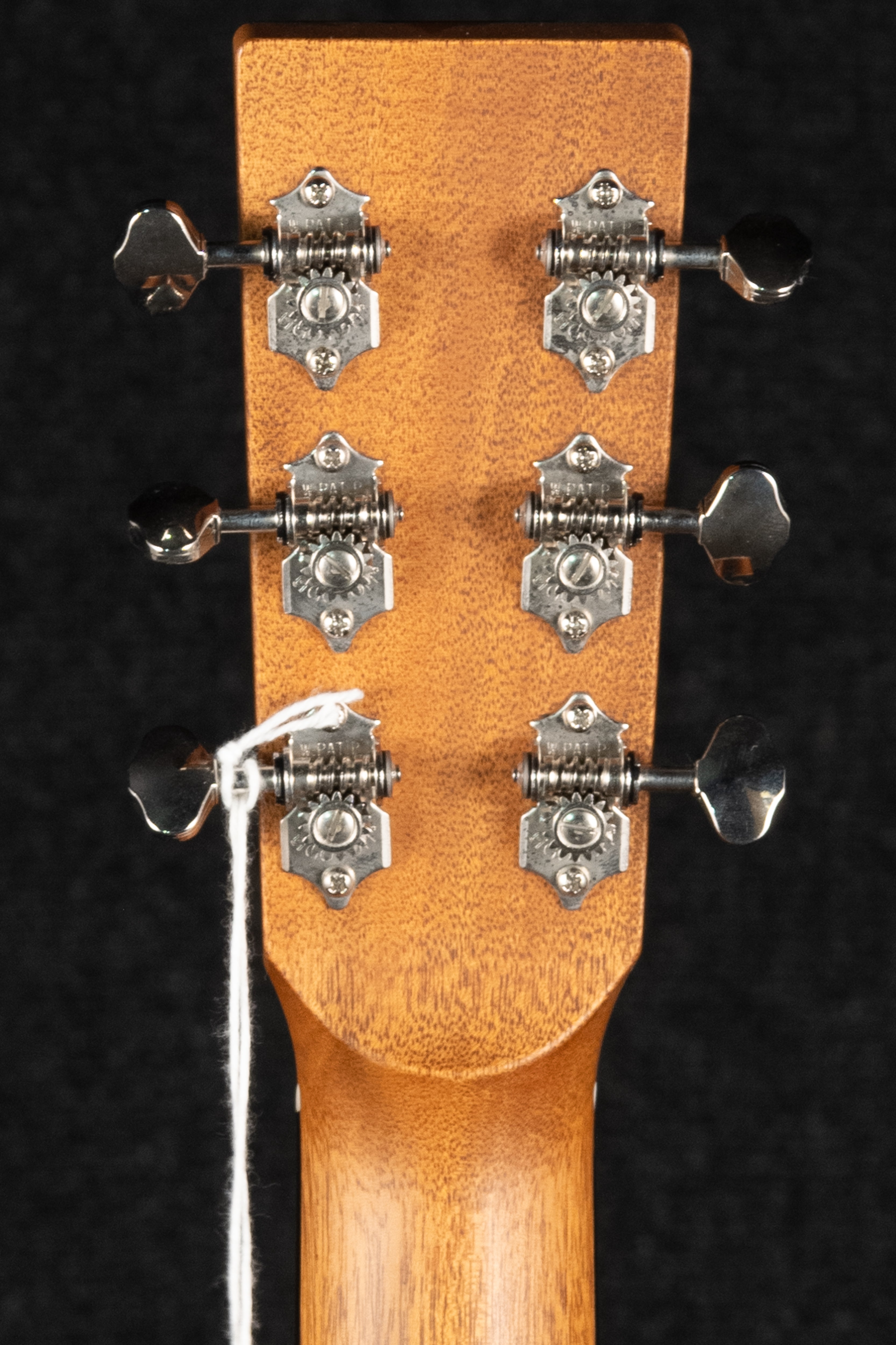 SG-41-V Studio Goose