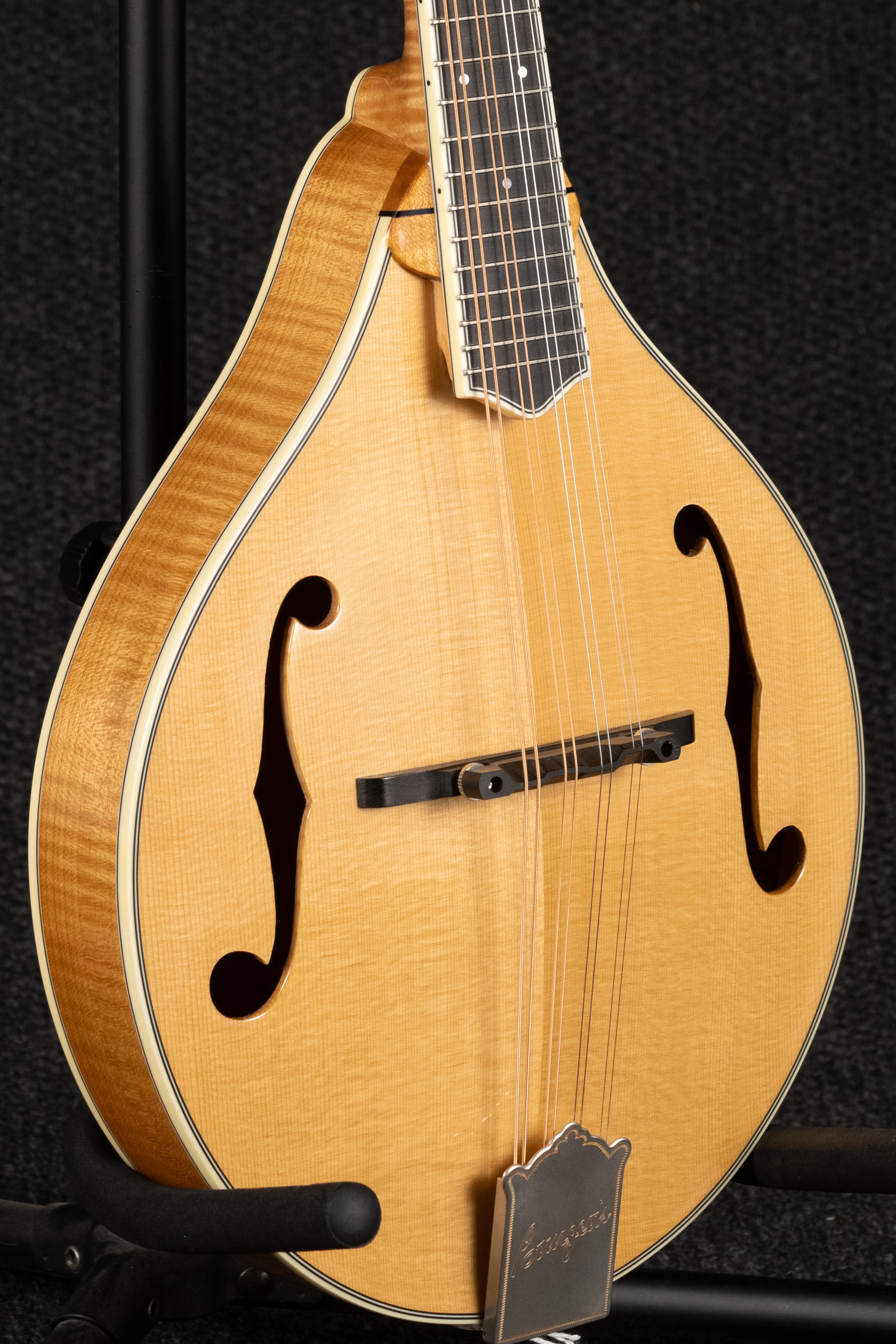 M5-A: A Style Mandolin