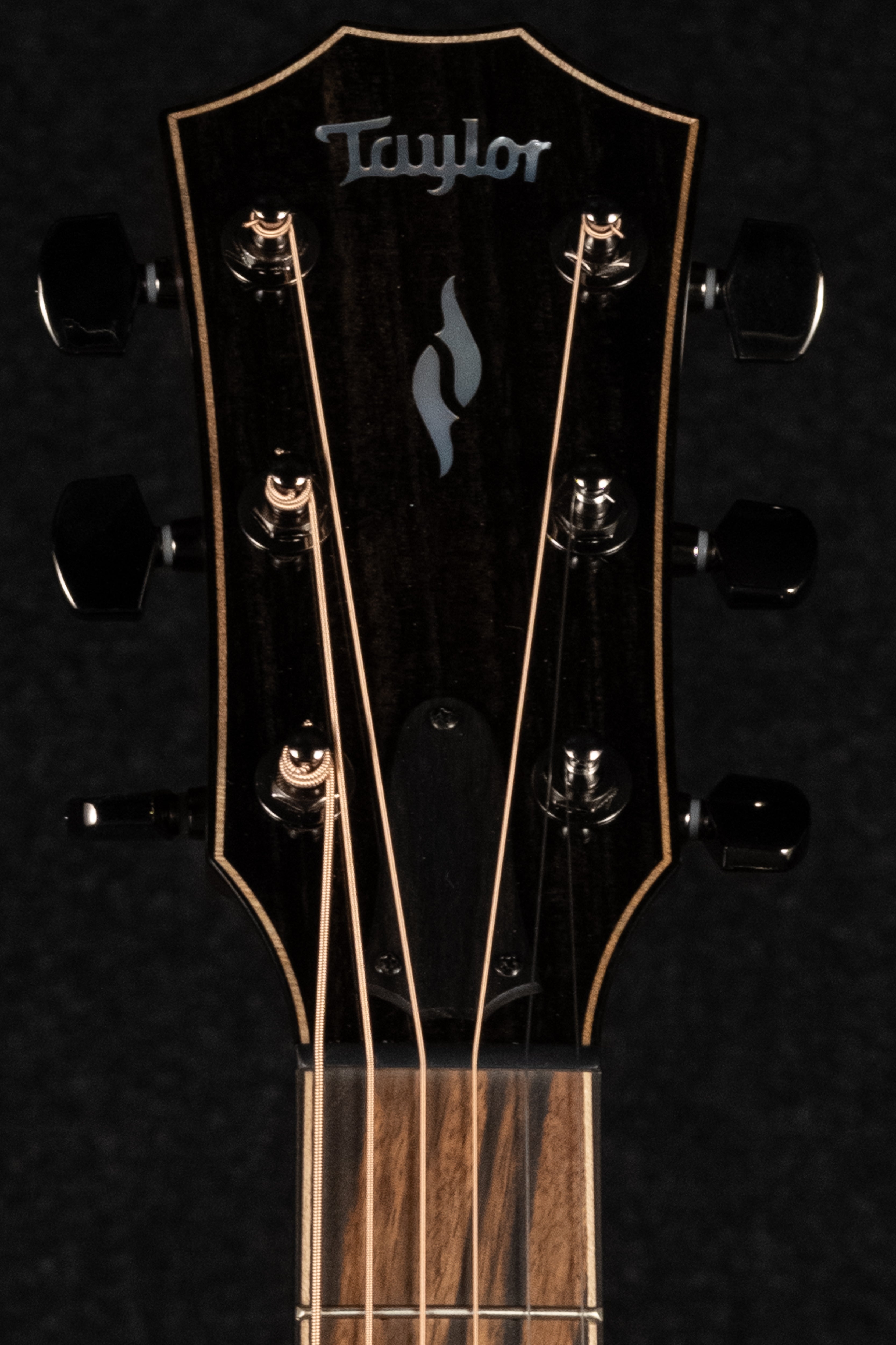 814ce LTD Cocobolo