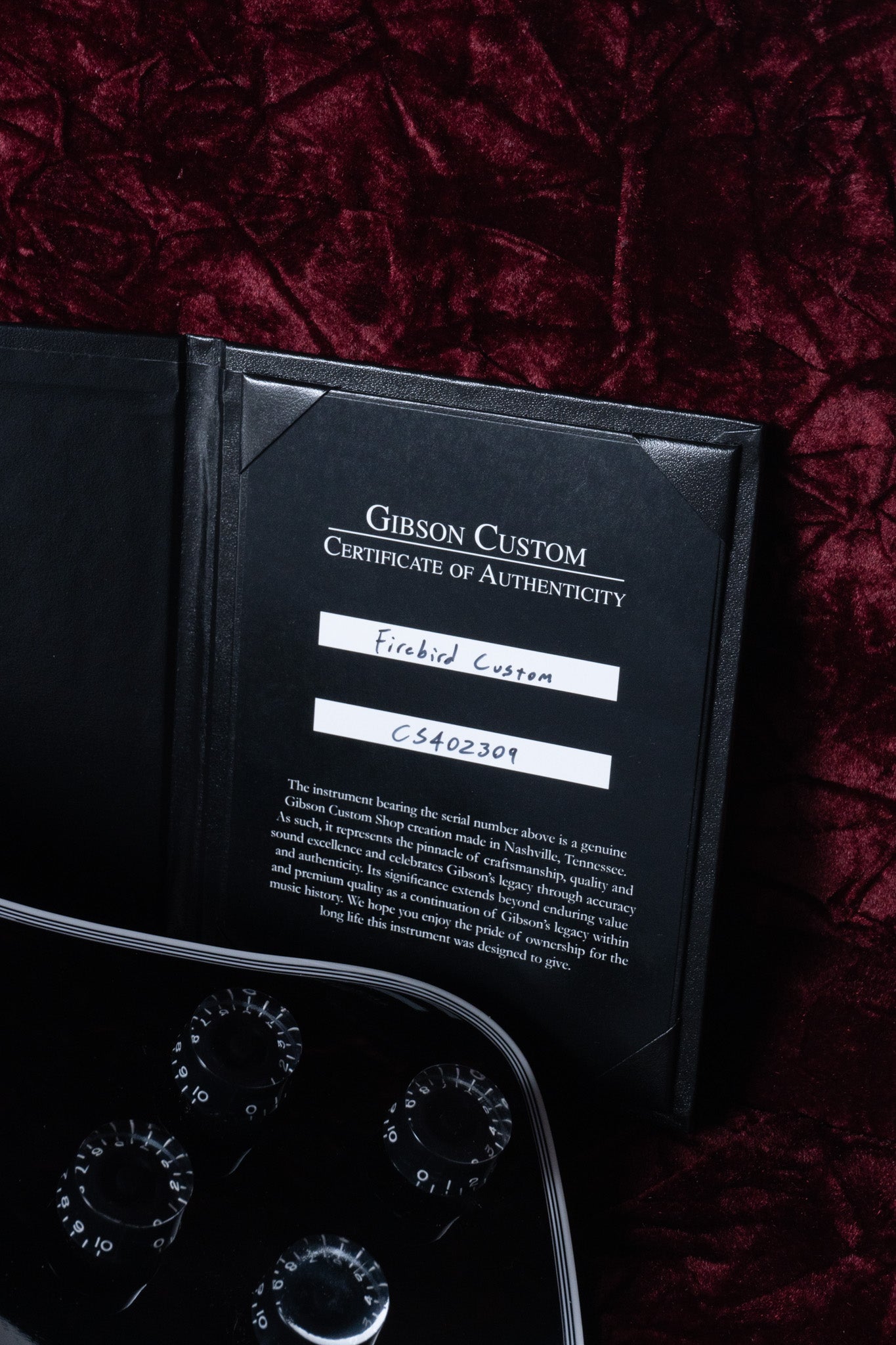 Firebird Custom with Ebony Fingerboard - Ebony