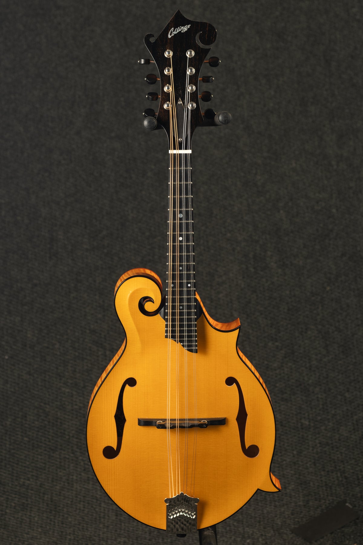 MF Gloss Top Honey Amber F Style Mandolin