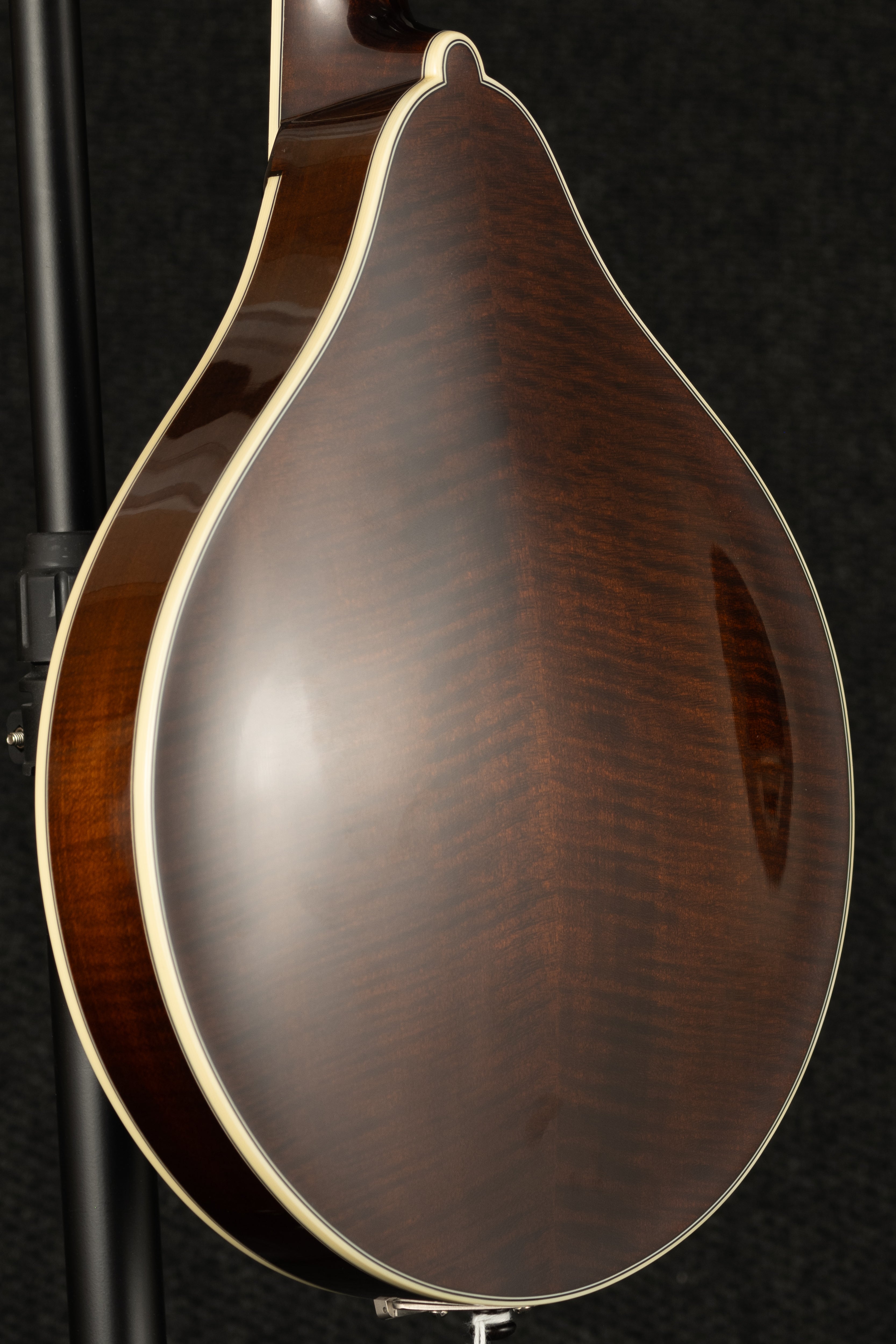 M5-A-BT Mandolin - Black Top