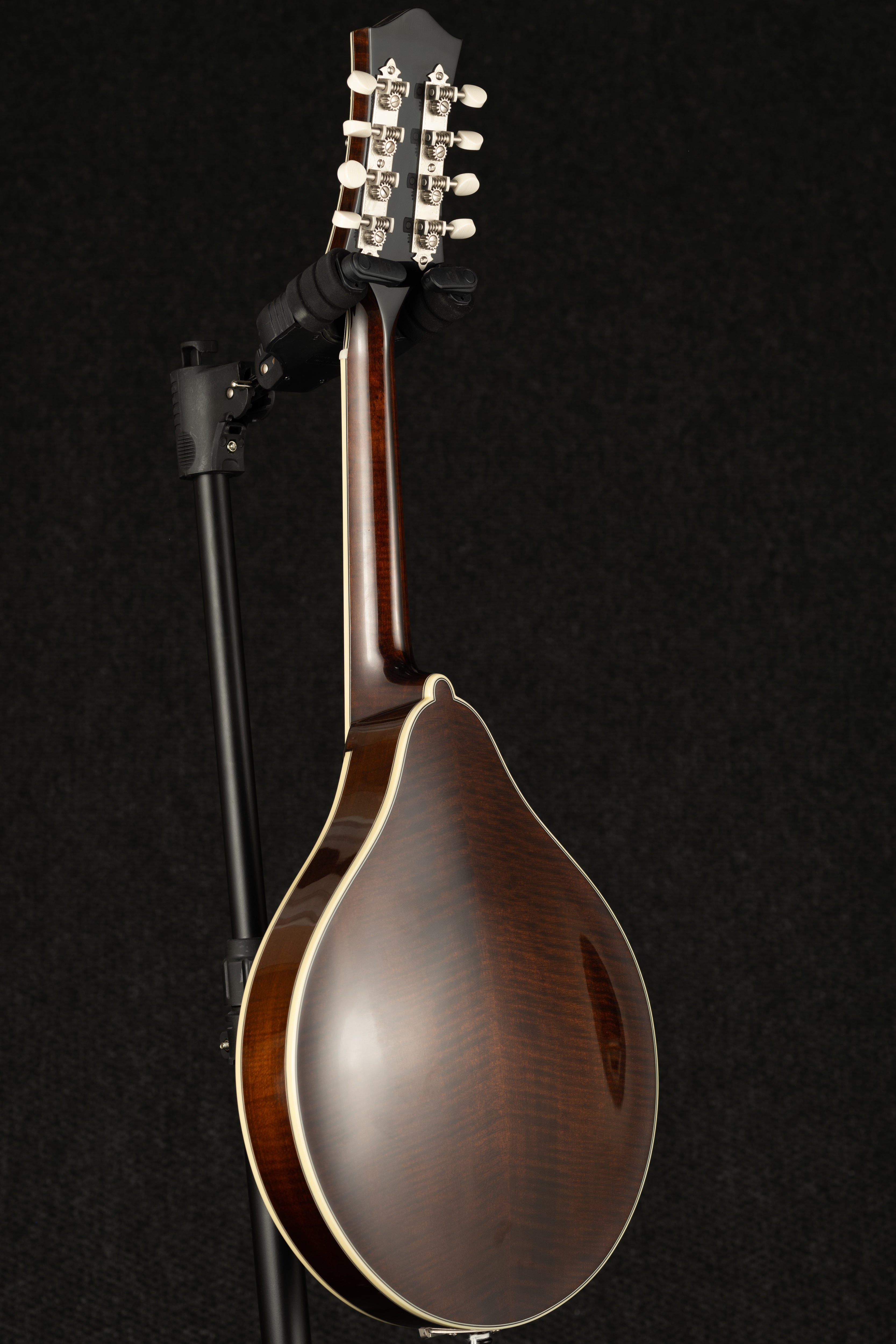 M5-A-BT Mandolin - Black Top