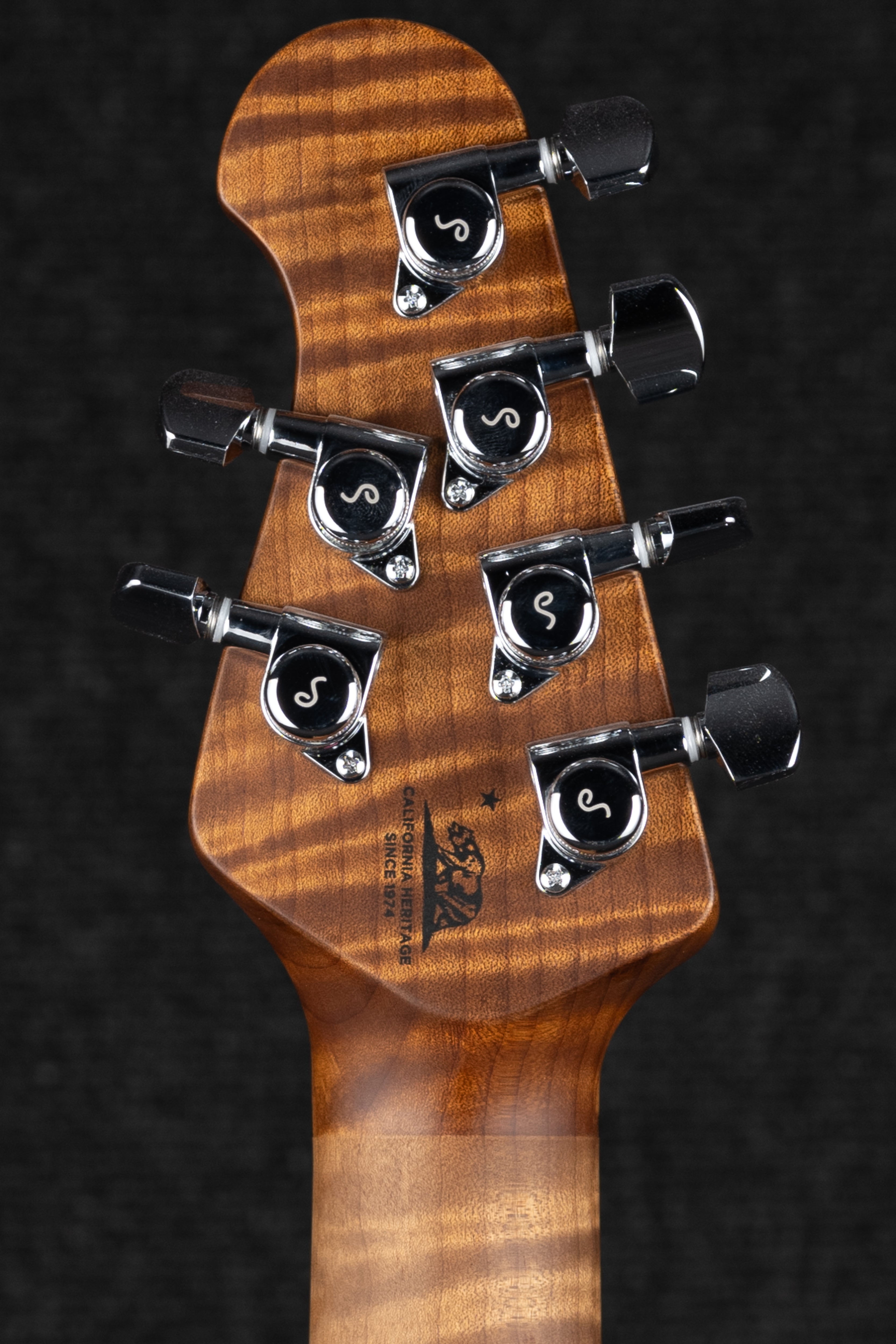 Sabre HT - Honey Bear