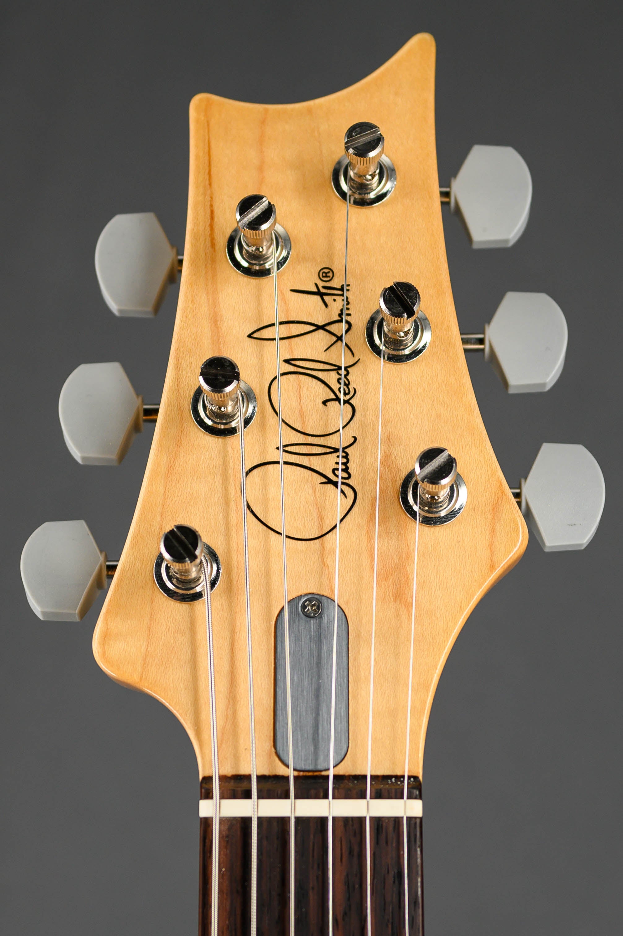 Silver Sky - Tungsten with Rosewood Fingerboard