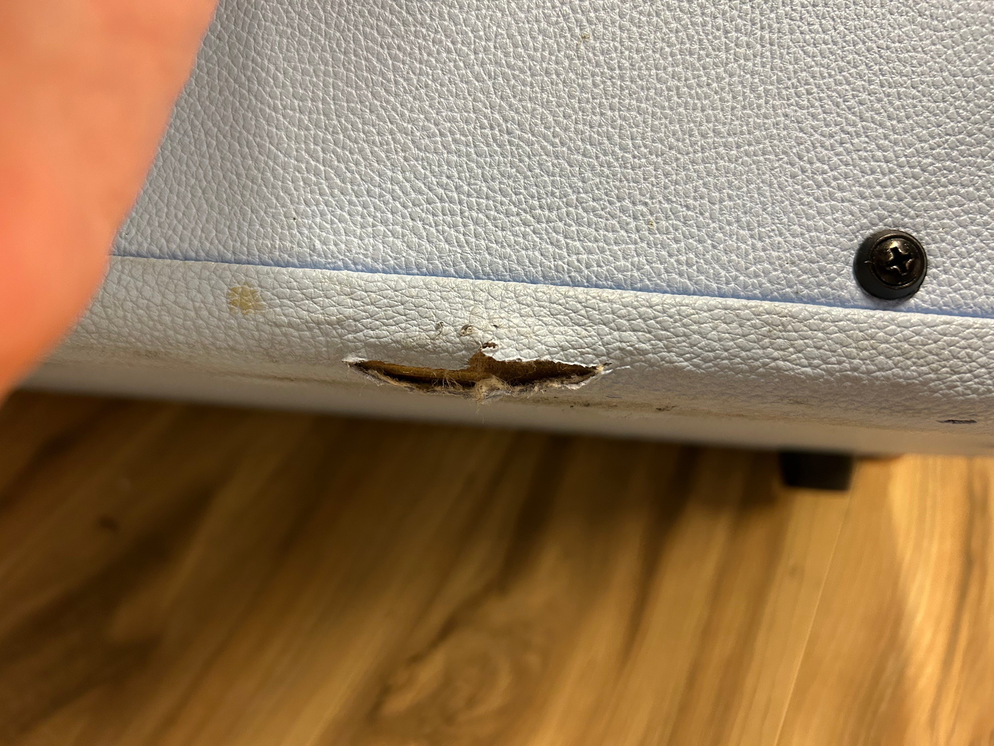 The Greg 2x10 50W Combo Blue *Pre-owned*