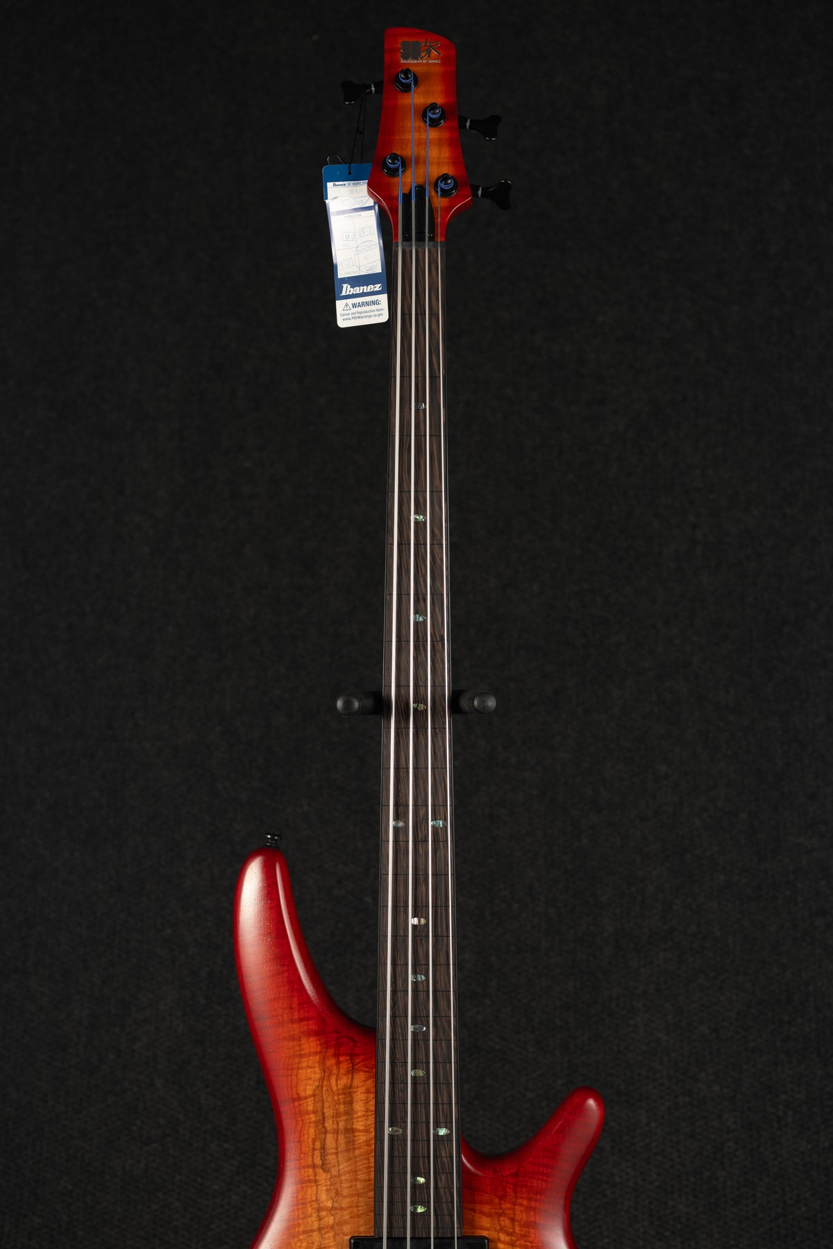 SRD900 Semi-Hollow Fretless - Brown Topaz Burst