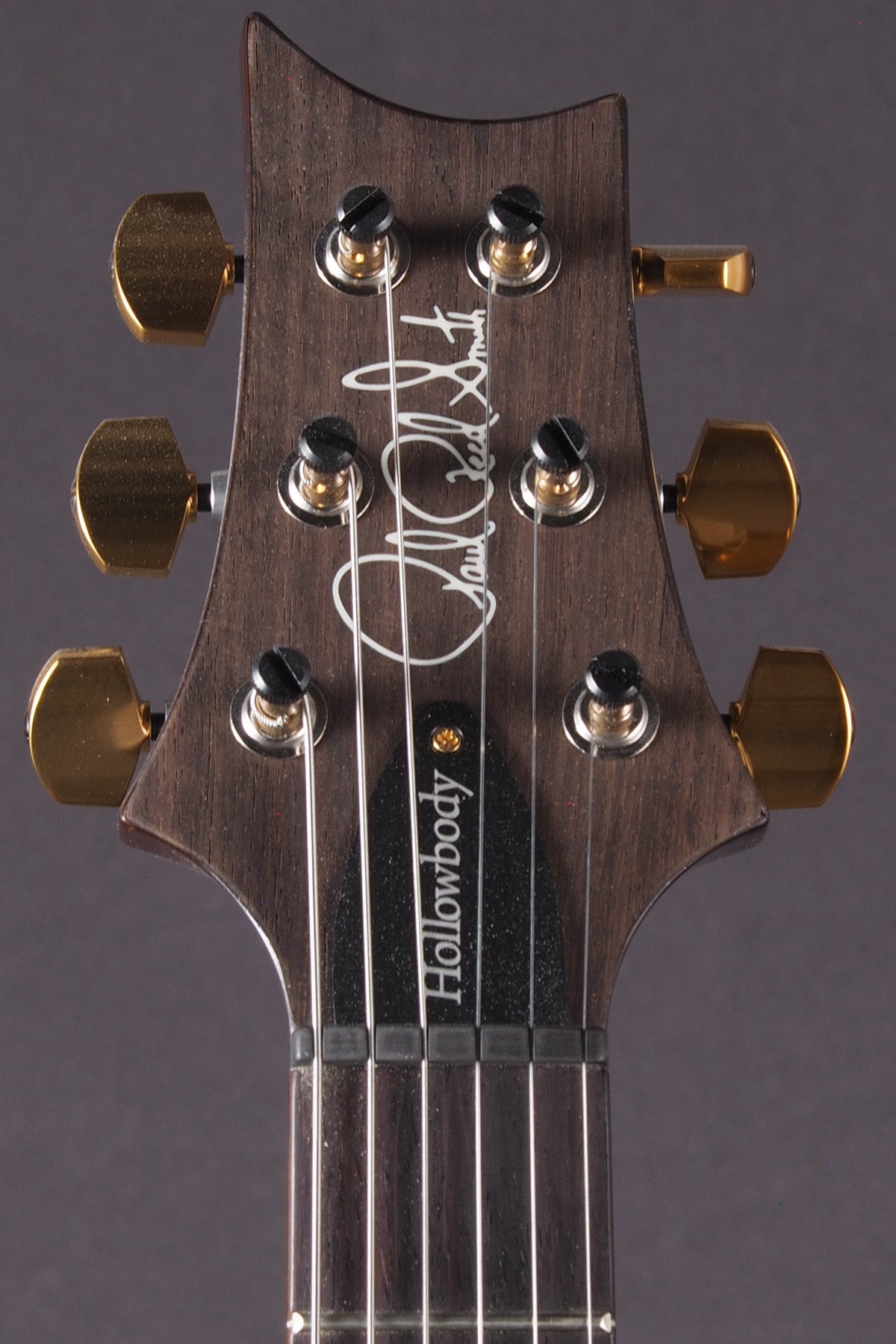 Hollowbody II Piezo 10 Top - McCarty Tobacco Sunburst