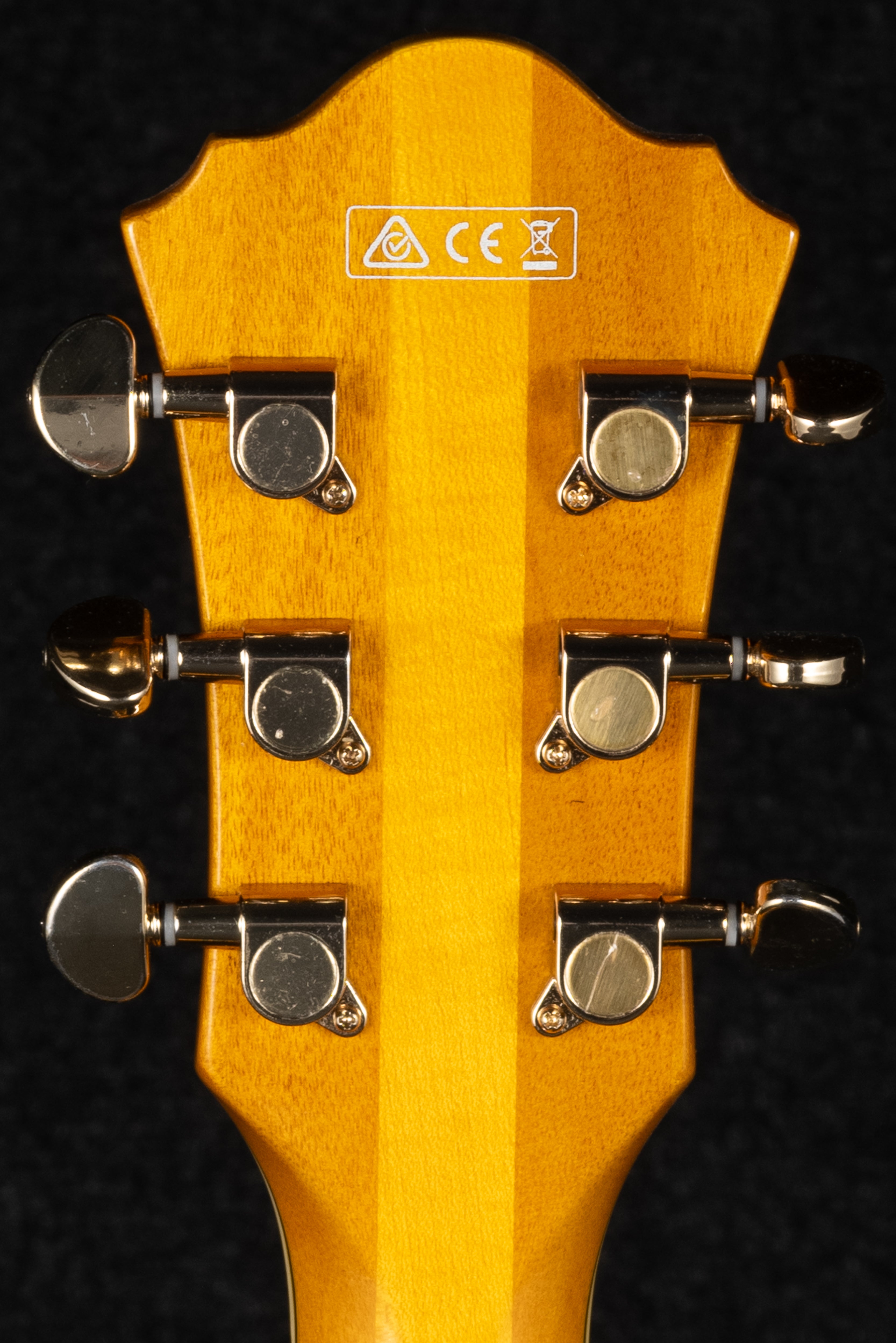 PM2-AA Pat Metheny Hollowbody - Antique Amber
