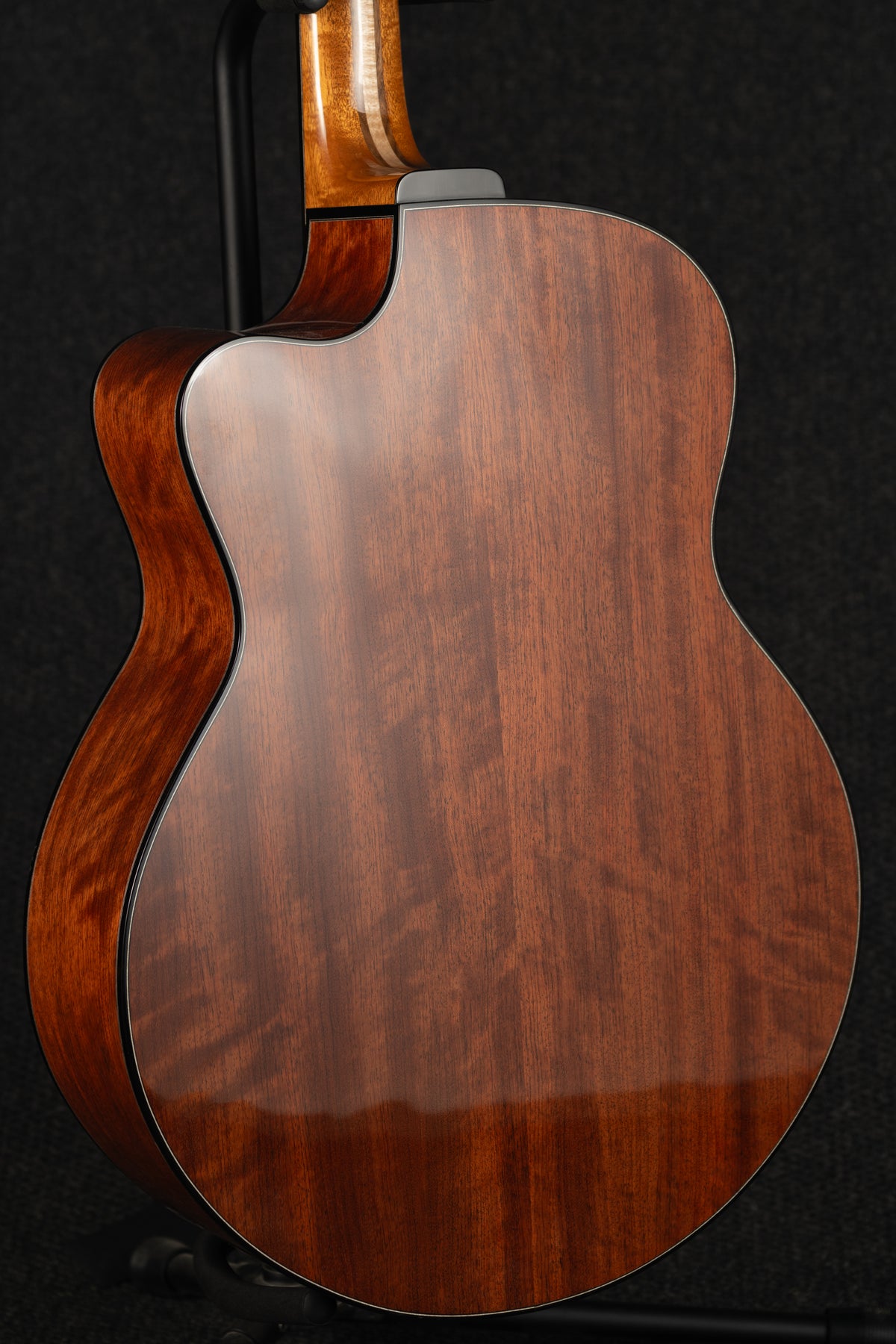 Bubinga Falcon