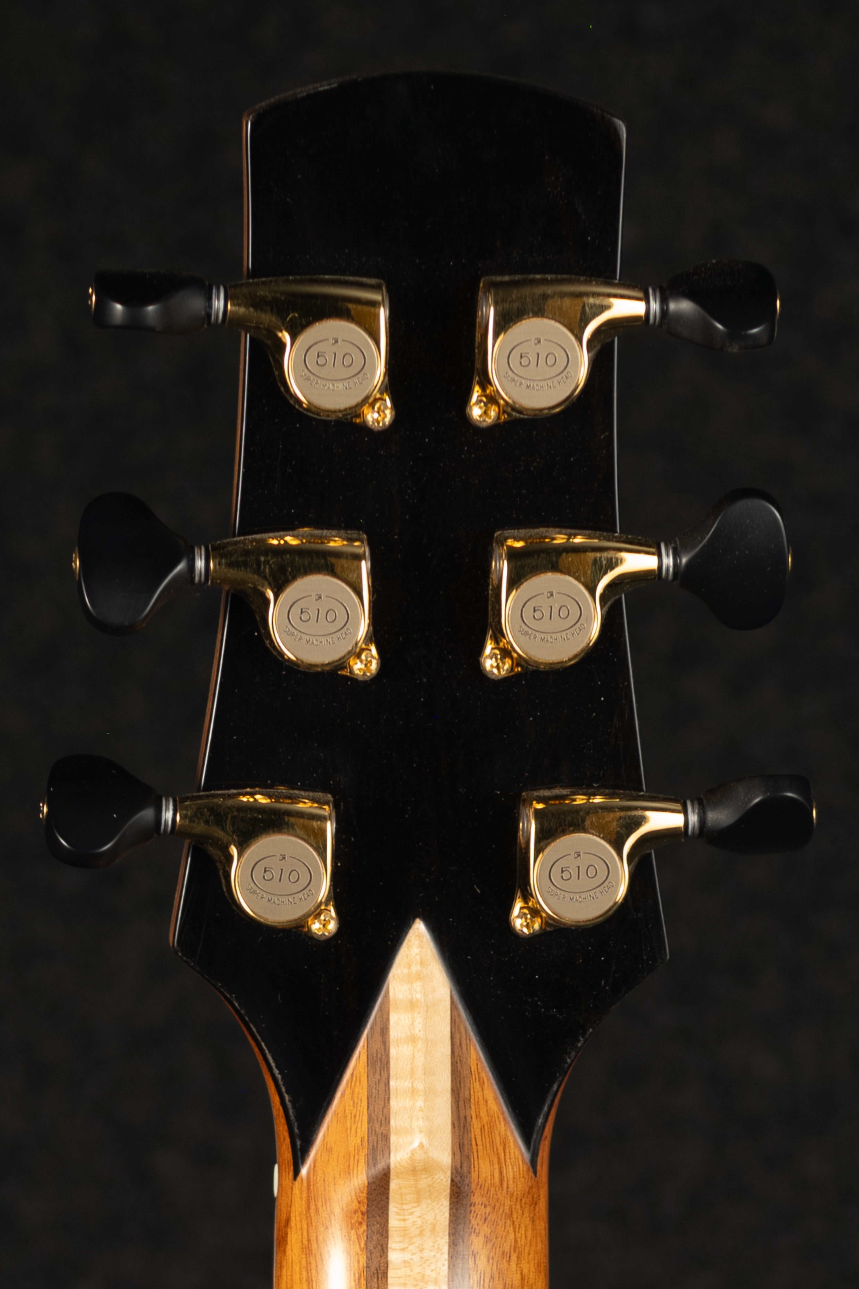 Cutaway Cocobolo Nomad