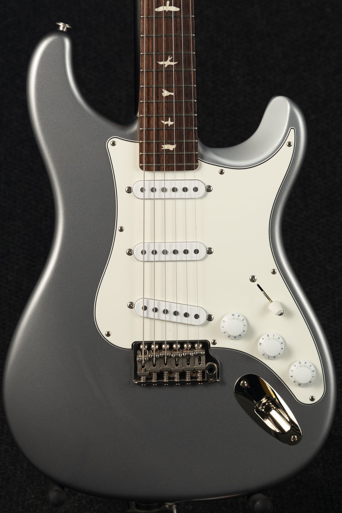 Silver Sky - Tungsten with Rosewood Fingerboard
