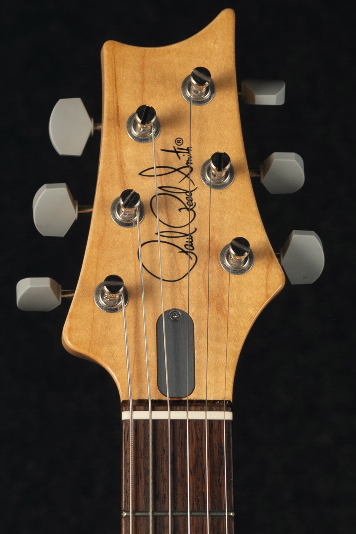 Silver Sky - Tungsten with Rosewood Fingerboard