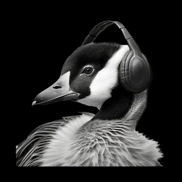 SG-41-V Studio Goose