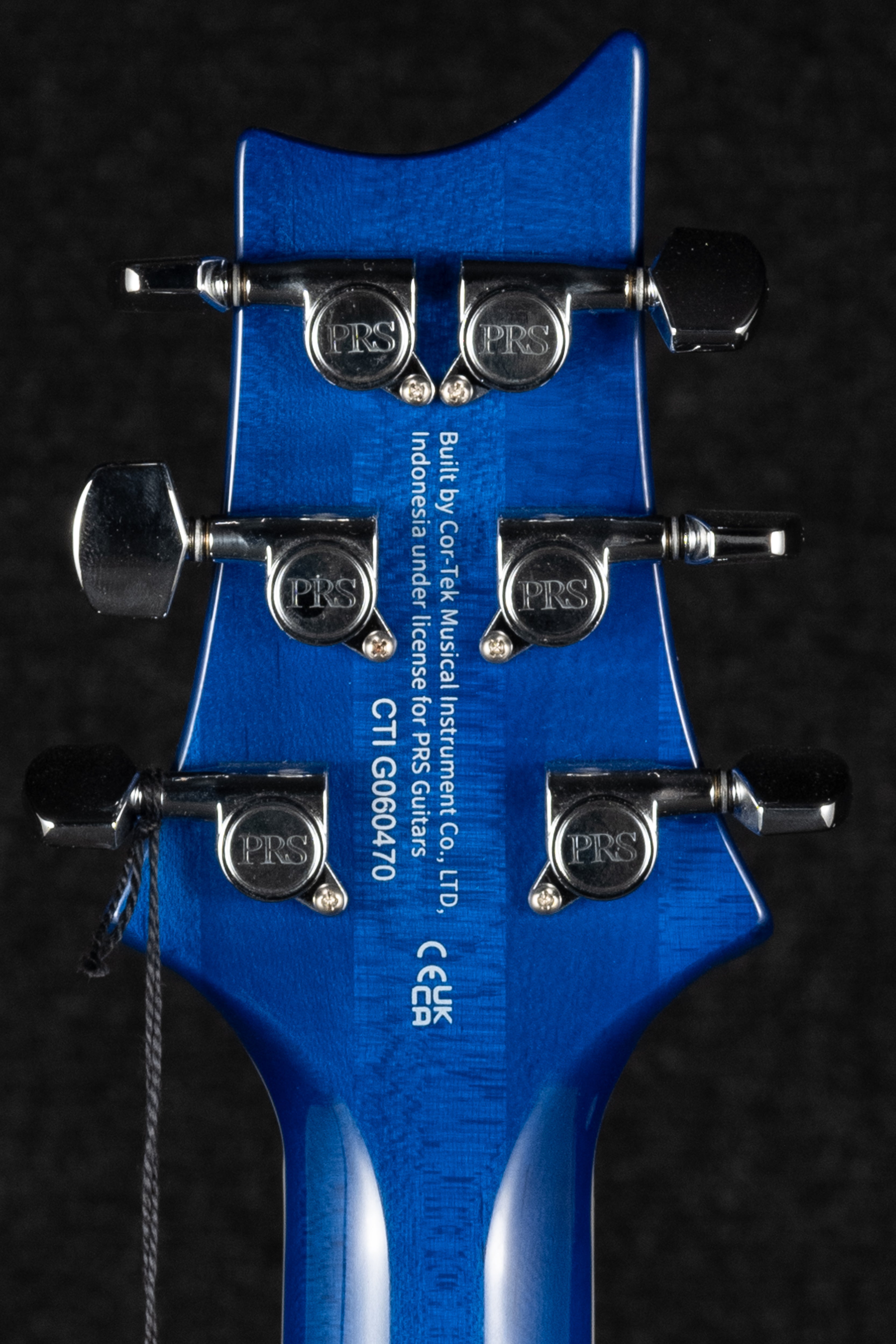 SE Custom 24 Semi-Hollow Piezo - Lake Blue