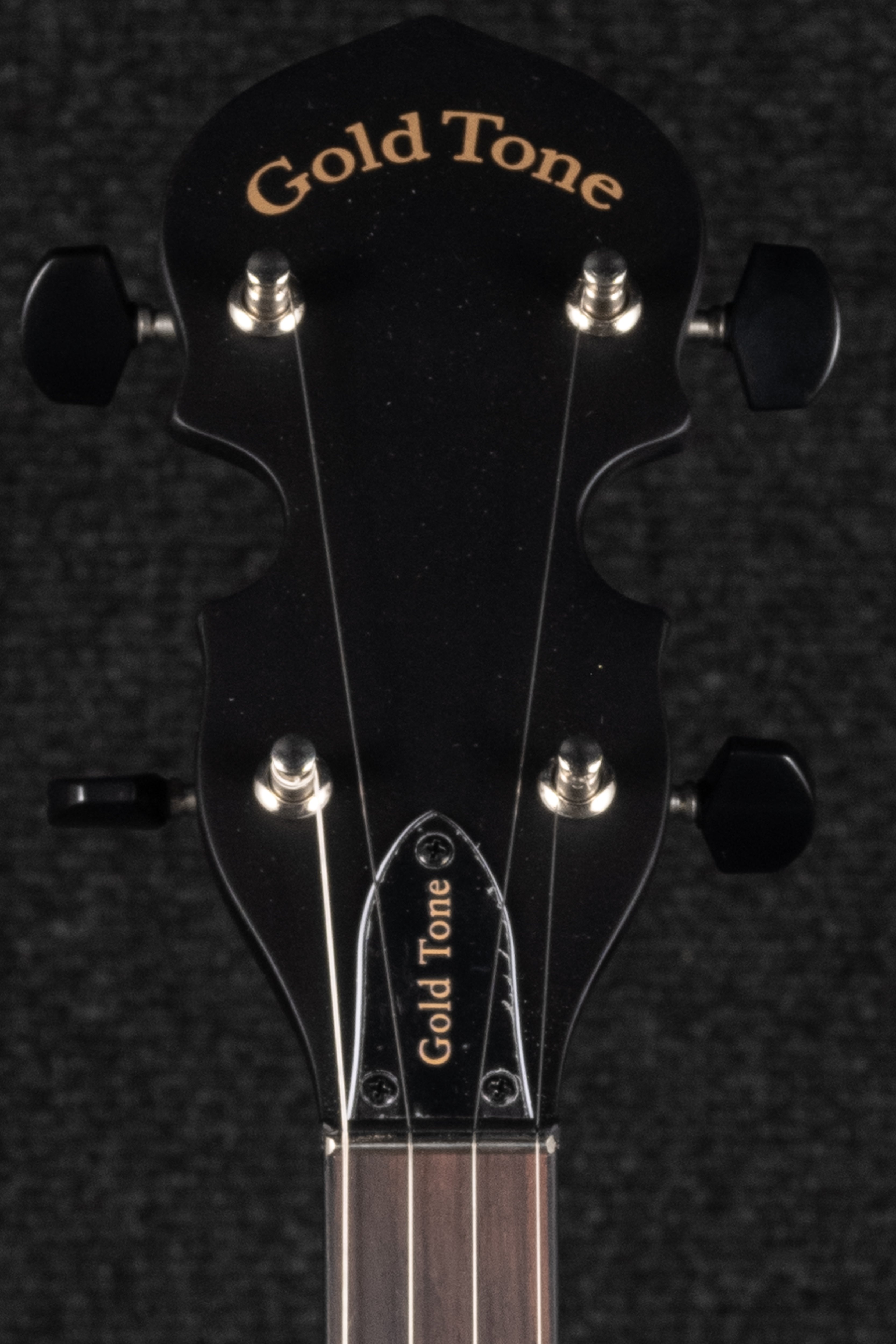 AC-1: Acoustic Composite 5-String Openback Banjo