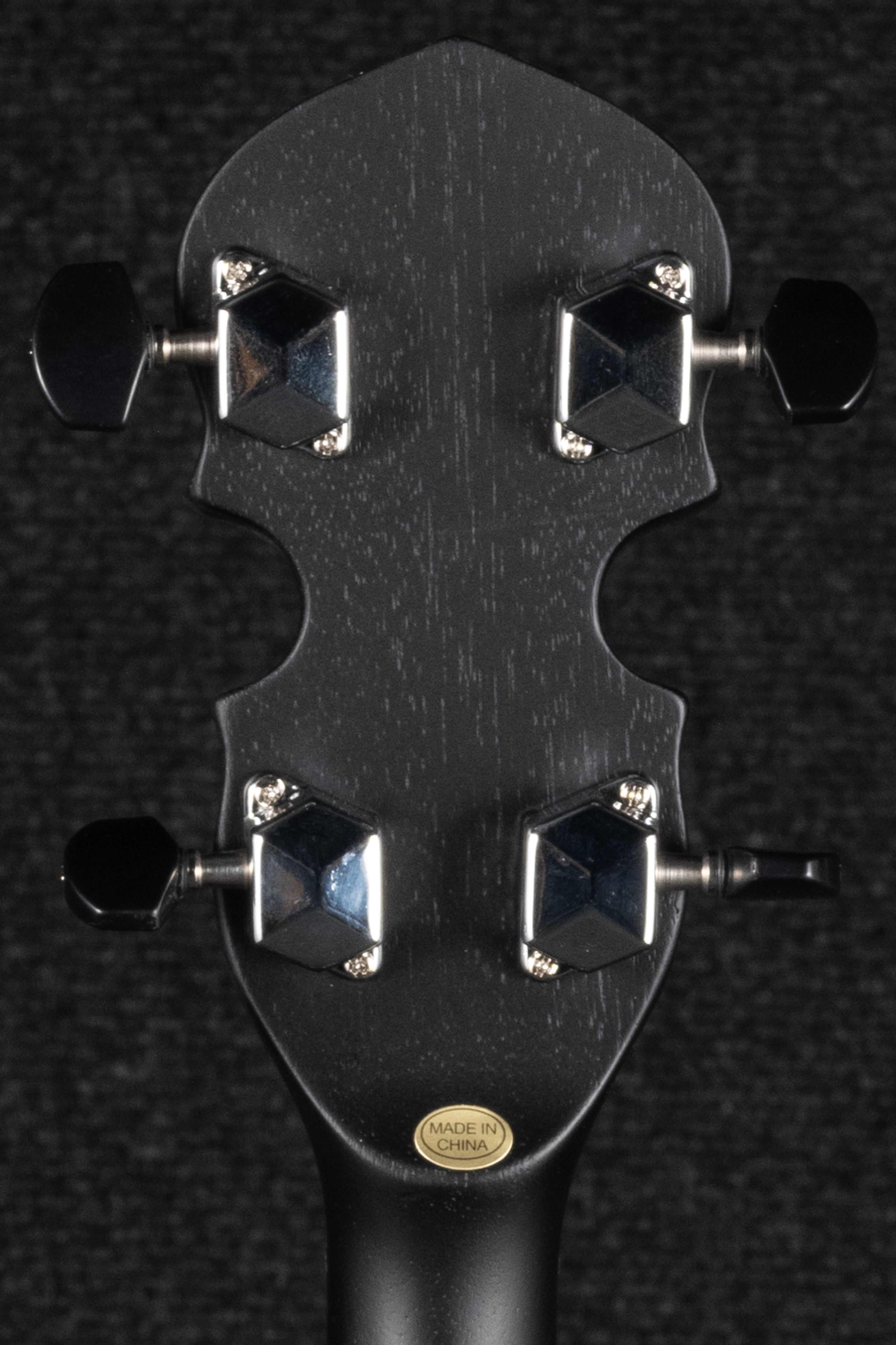 AC-1: Acoustic Composite 5-String Openback Banjo