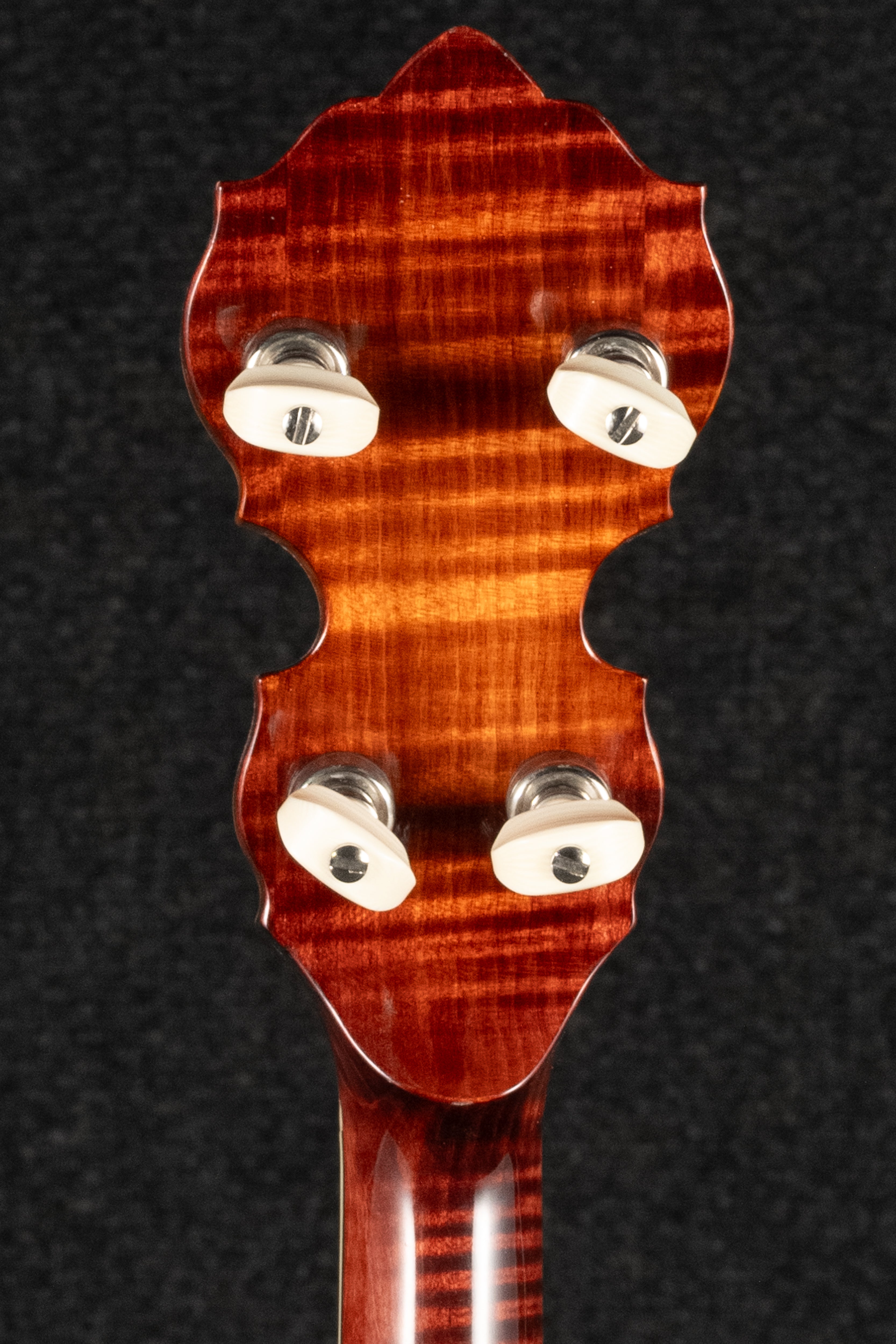 Columbine Silverspun Bluegrass Banjo