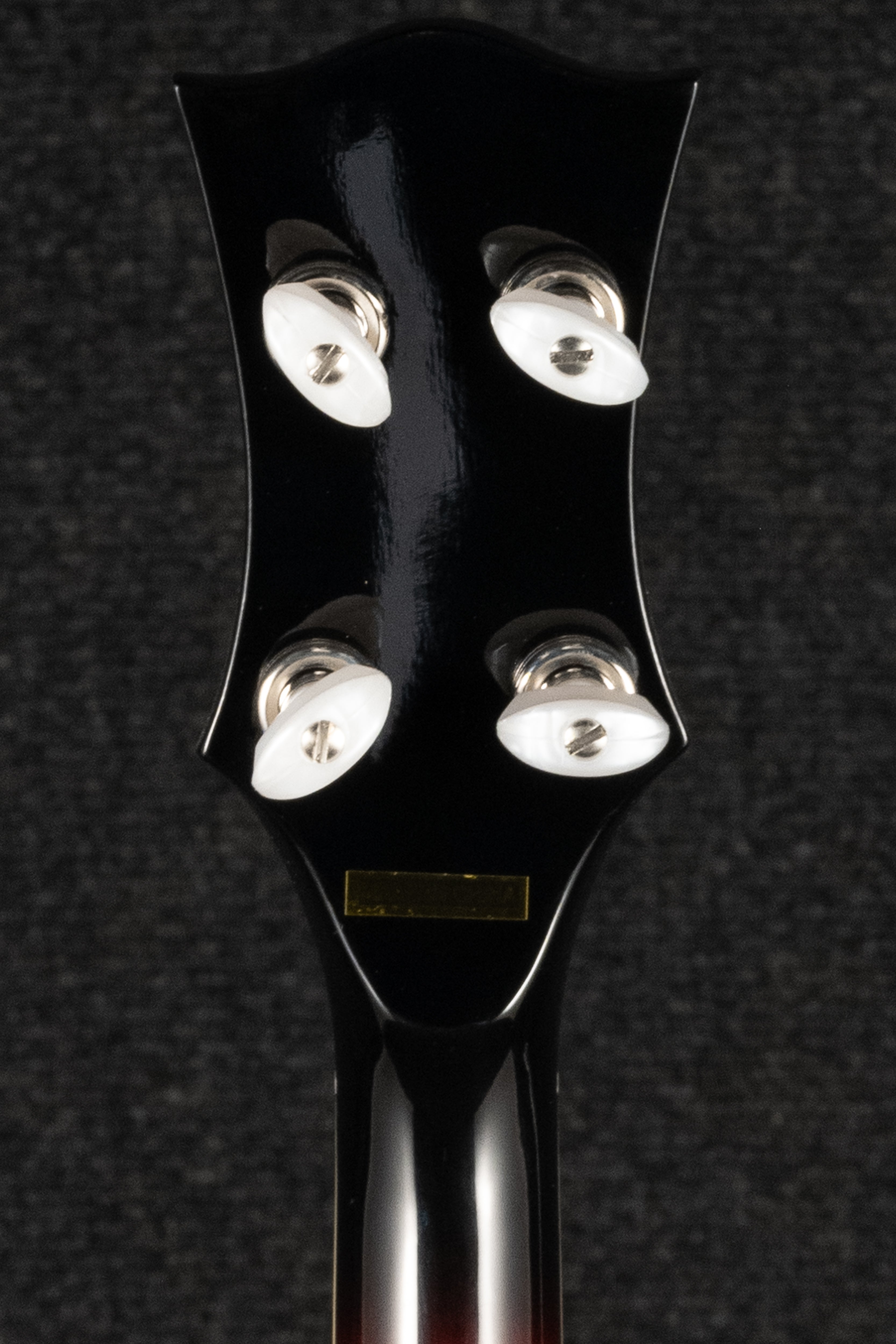Mastertone OB-2 Bowtie Resonator Banjo