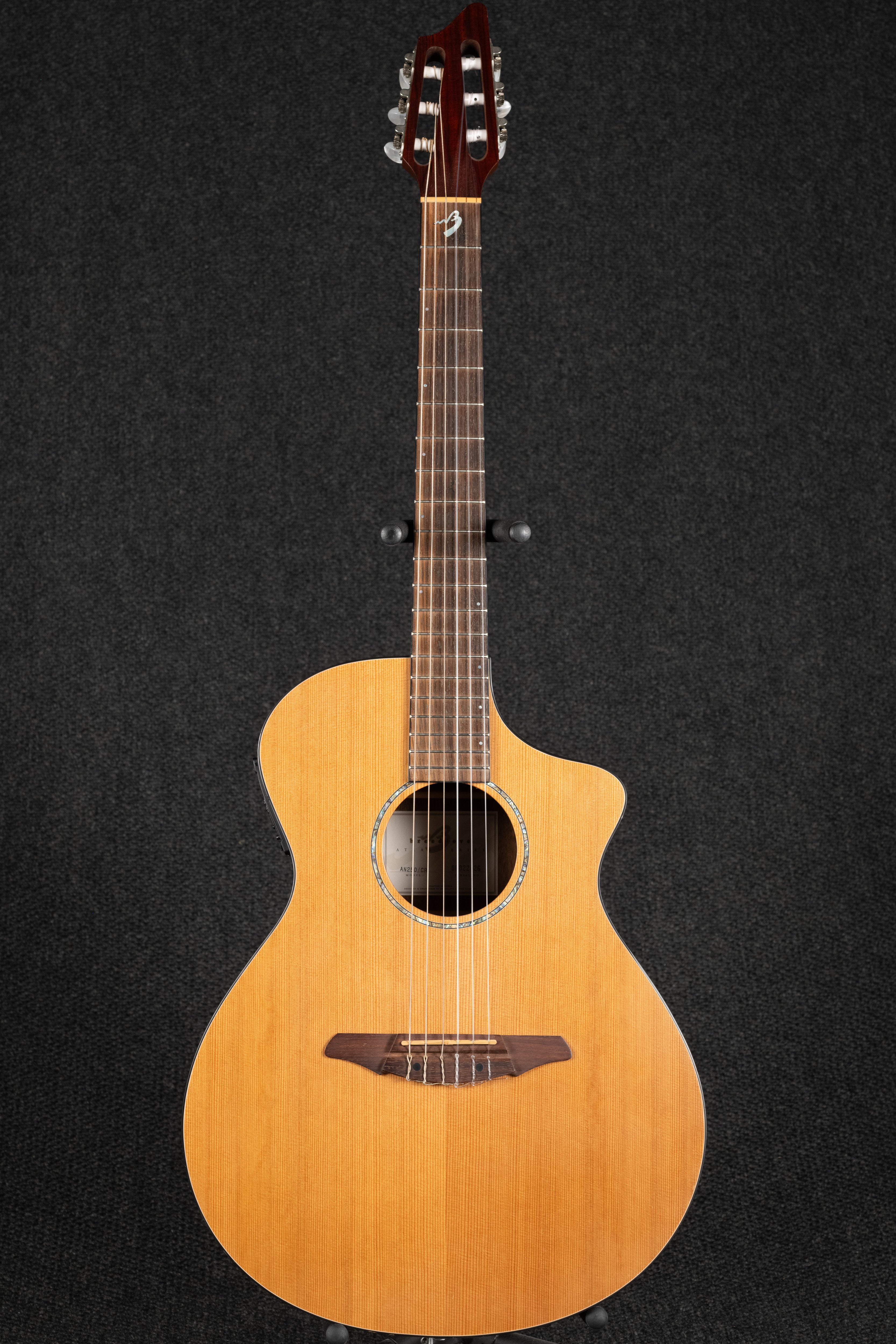 AN250/CR Nylon Acoustic