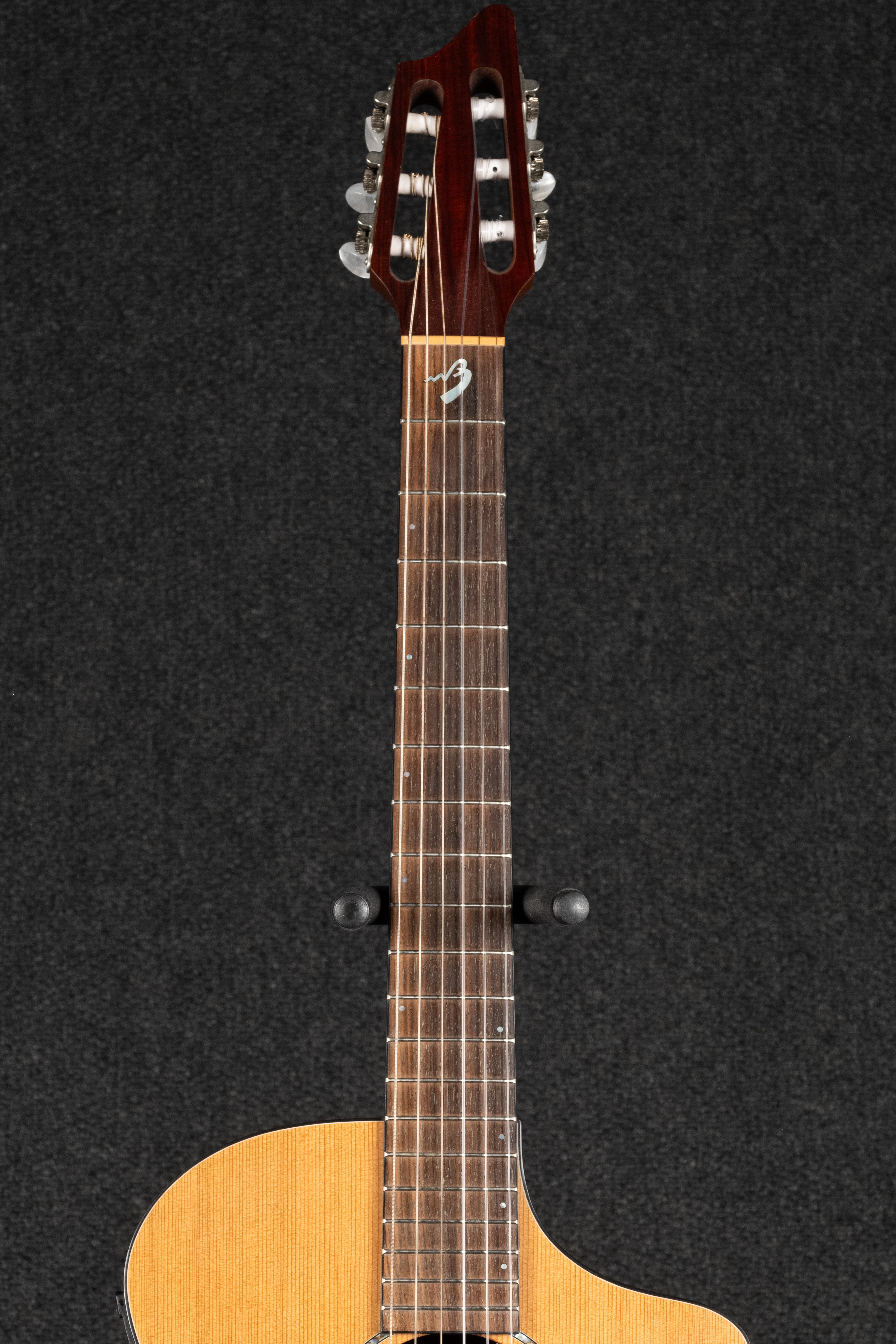 AN250/CR Nylon Acoustic