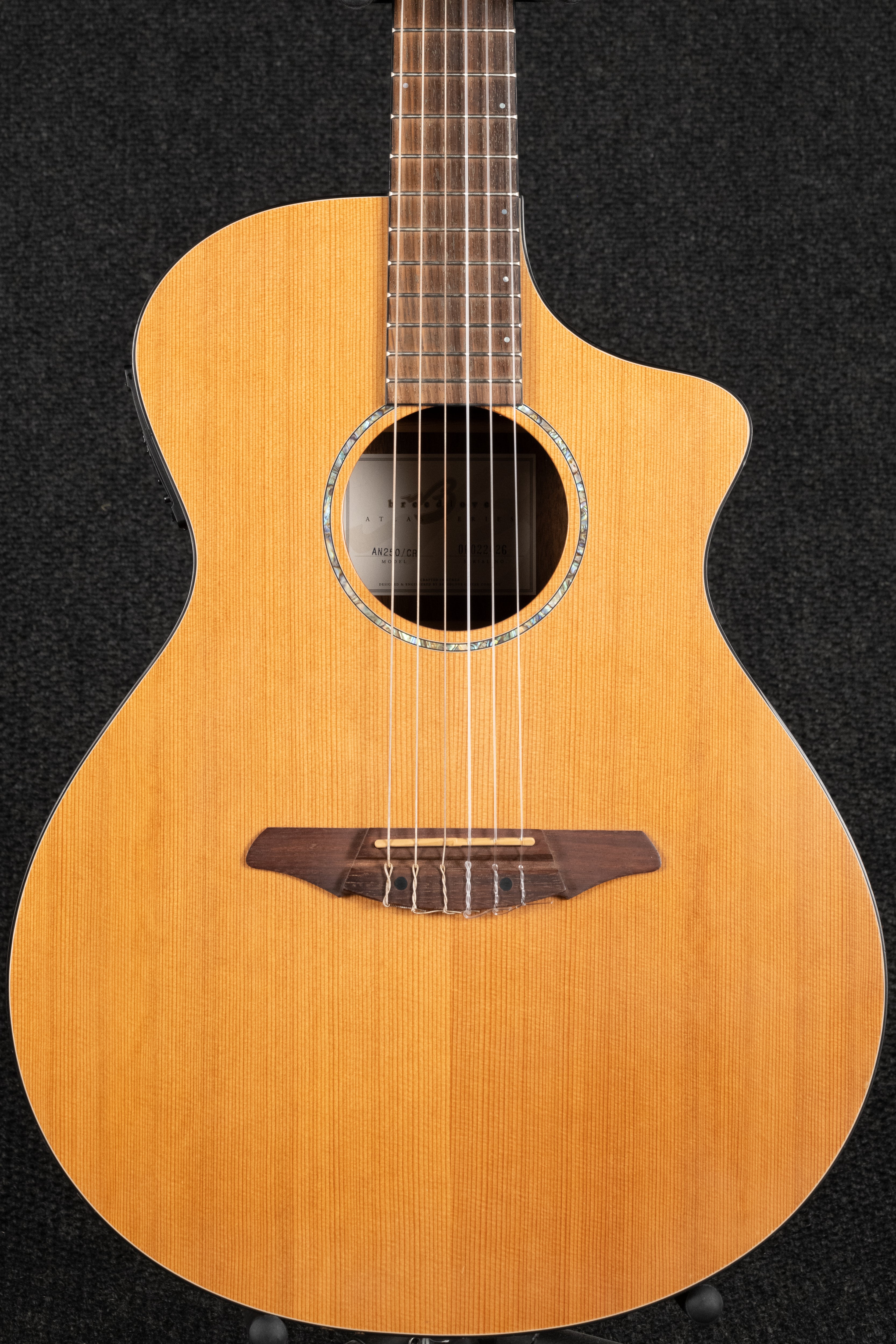 AN250/CR Nylon Acoustic
