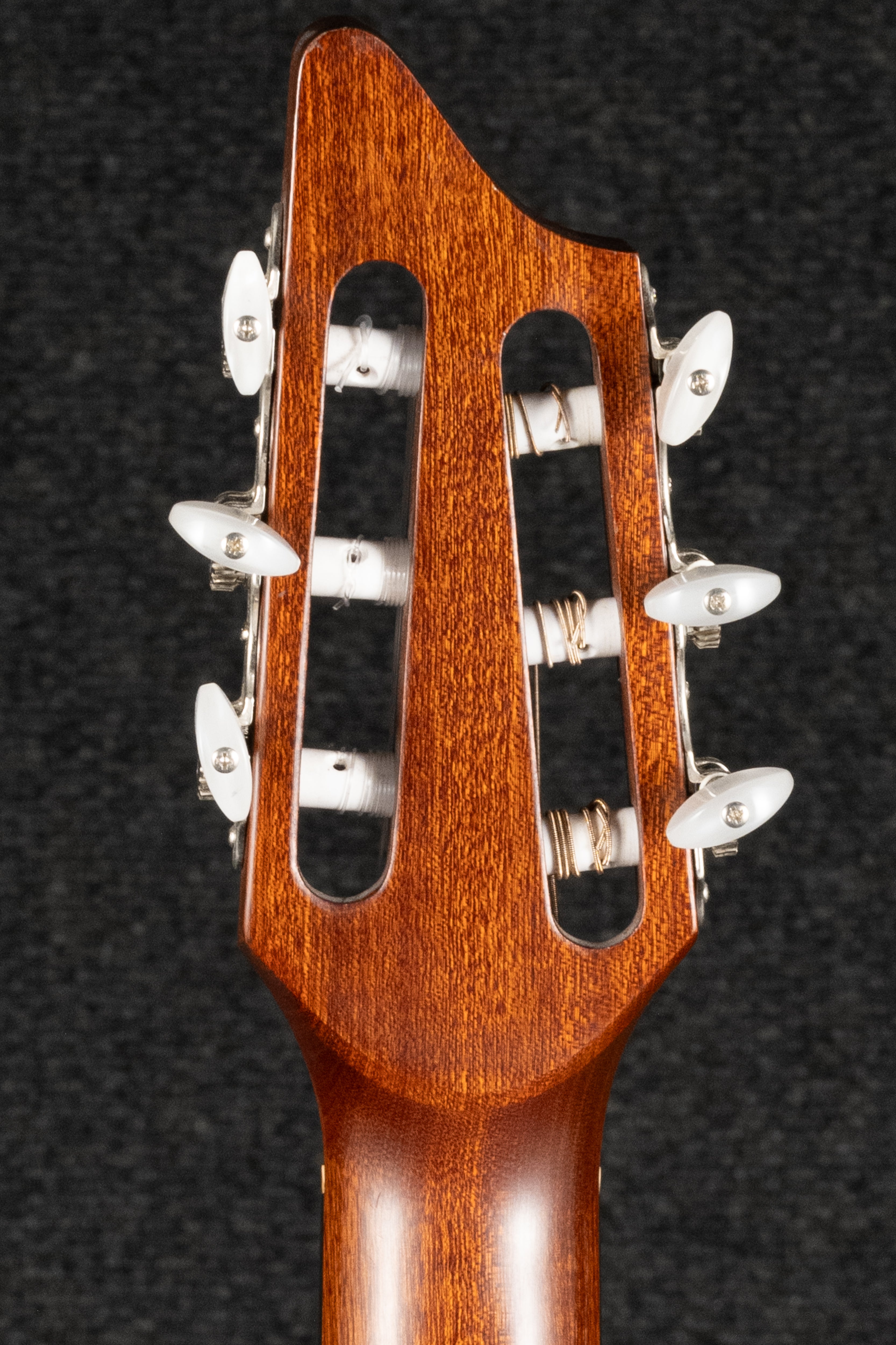 AN250/CR Nylon Acoustic