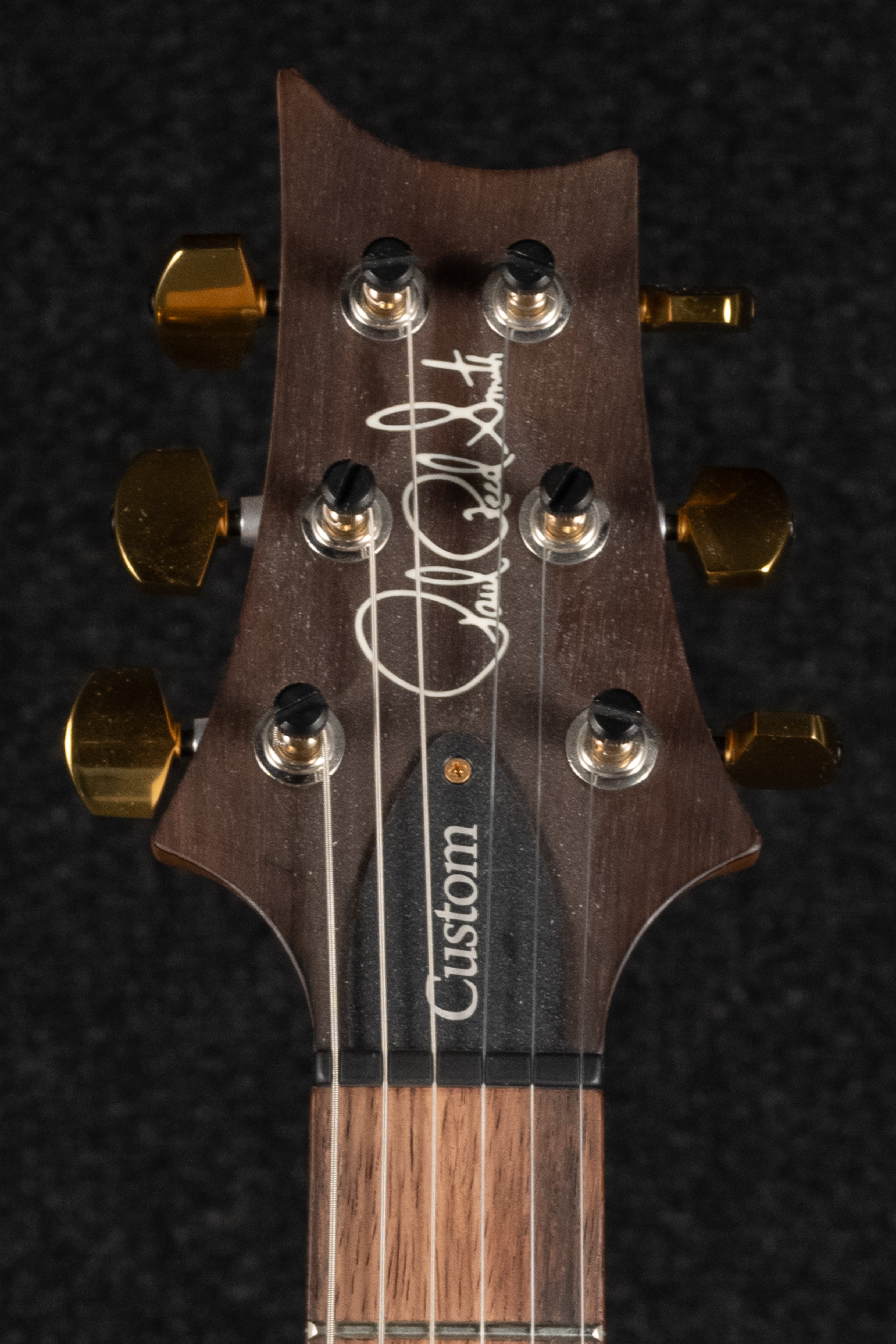 Custom 24-08 Wood Library 10 Top Brazilian Edition