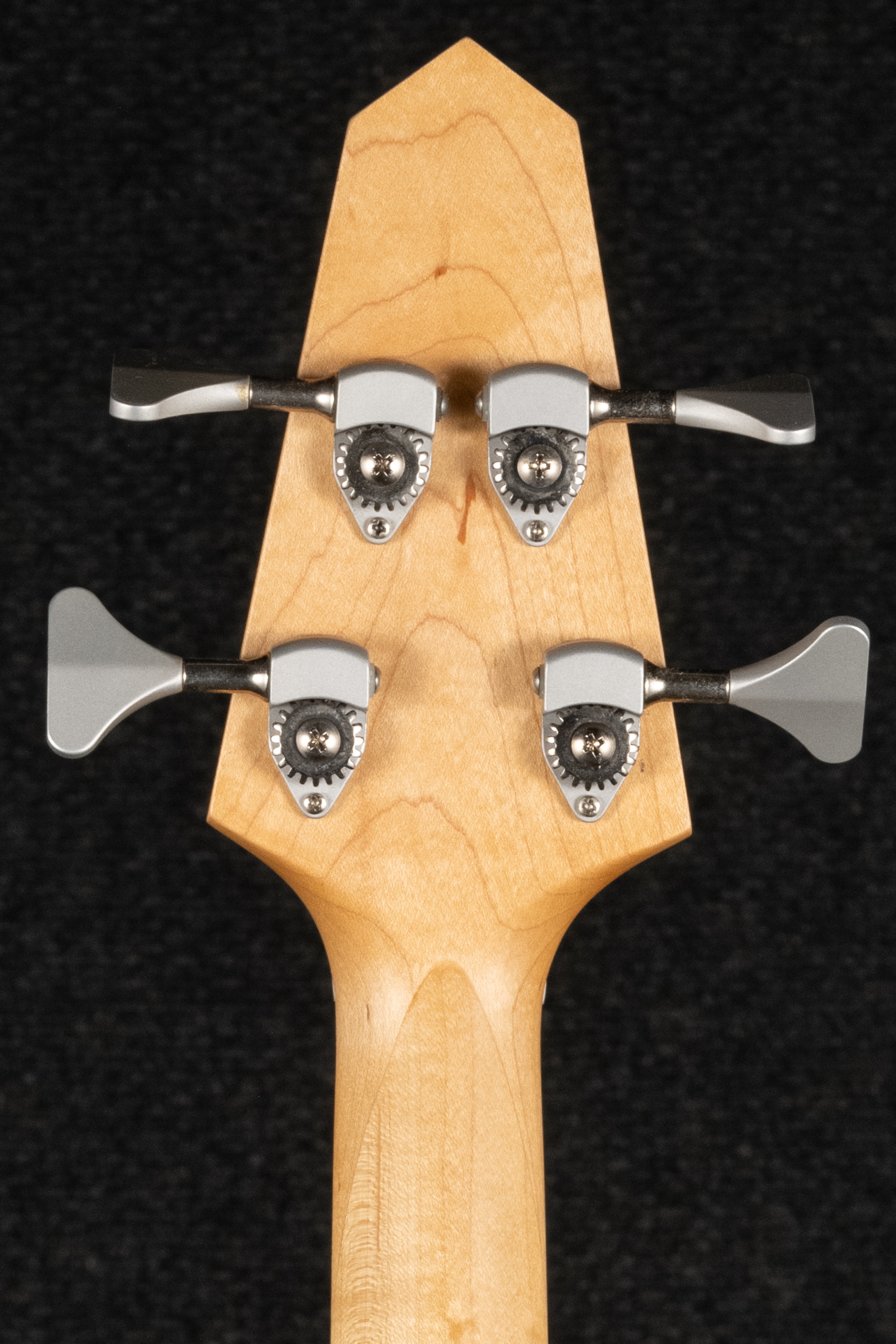 RB4-FC Renaissance Fretless 4