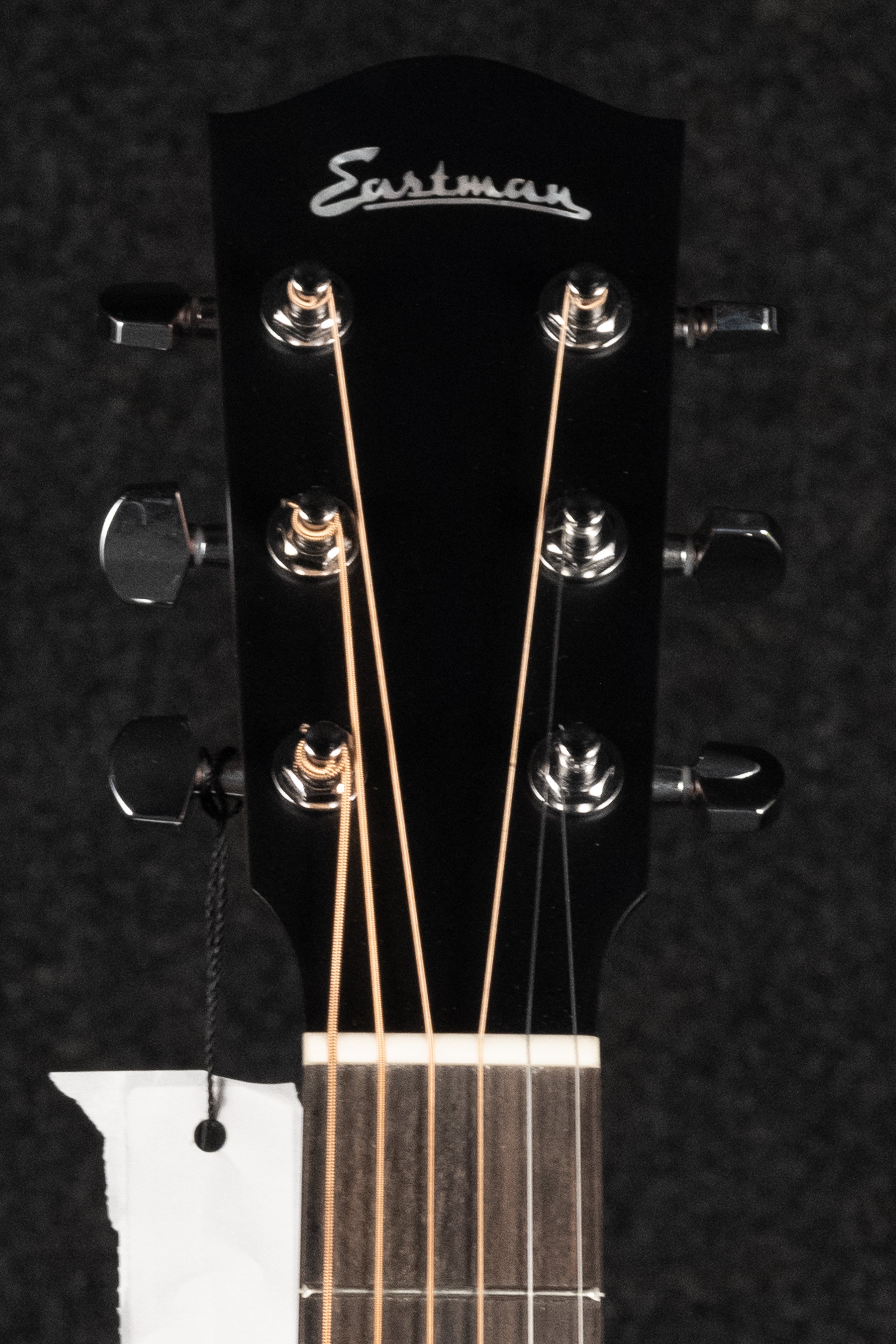 ACTG1-CLA Acoustic