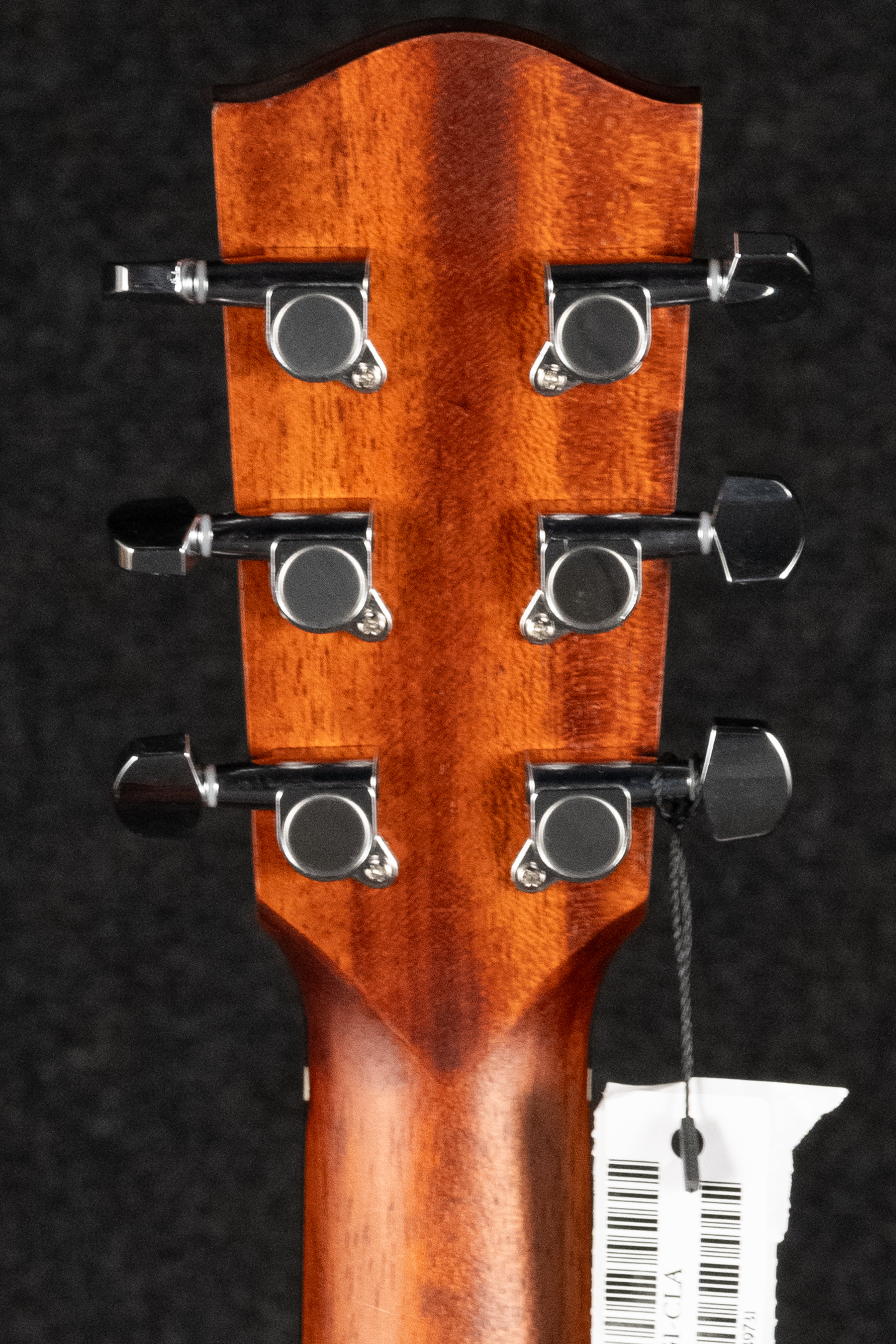 ACTG1-CLA Acoustic