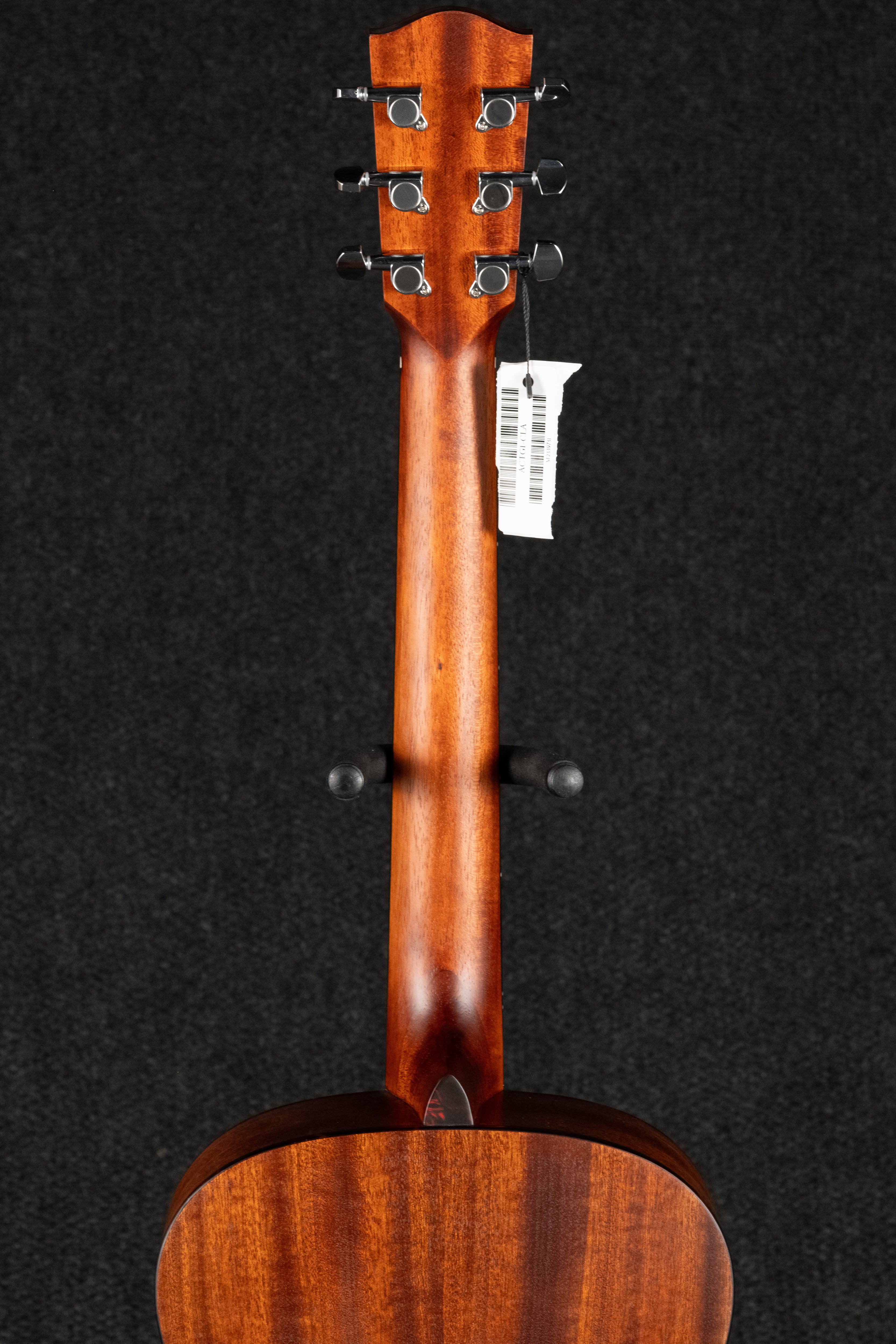 ACTG1-CLA Acoustic