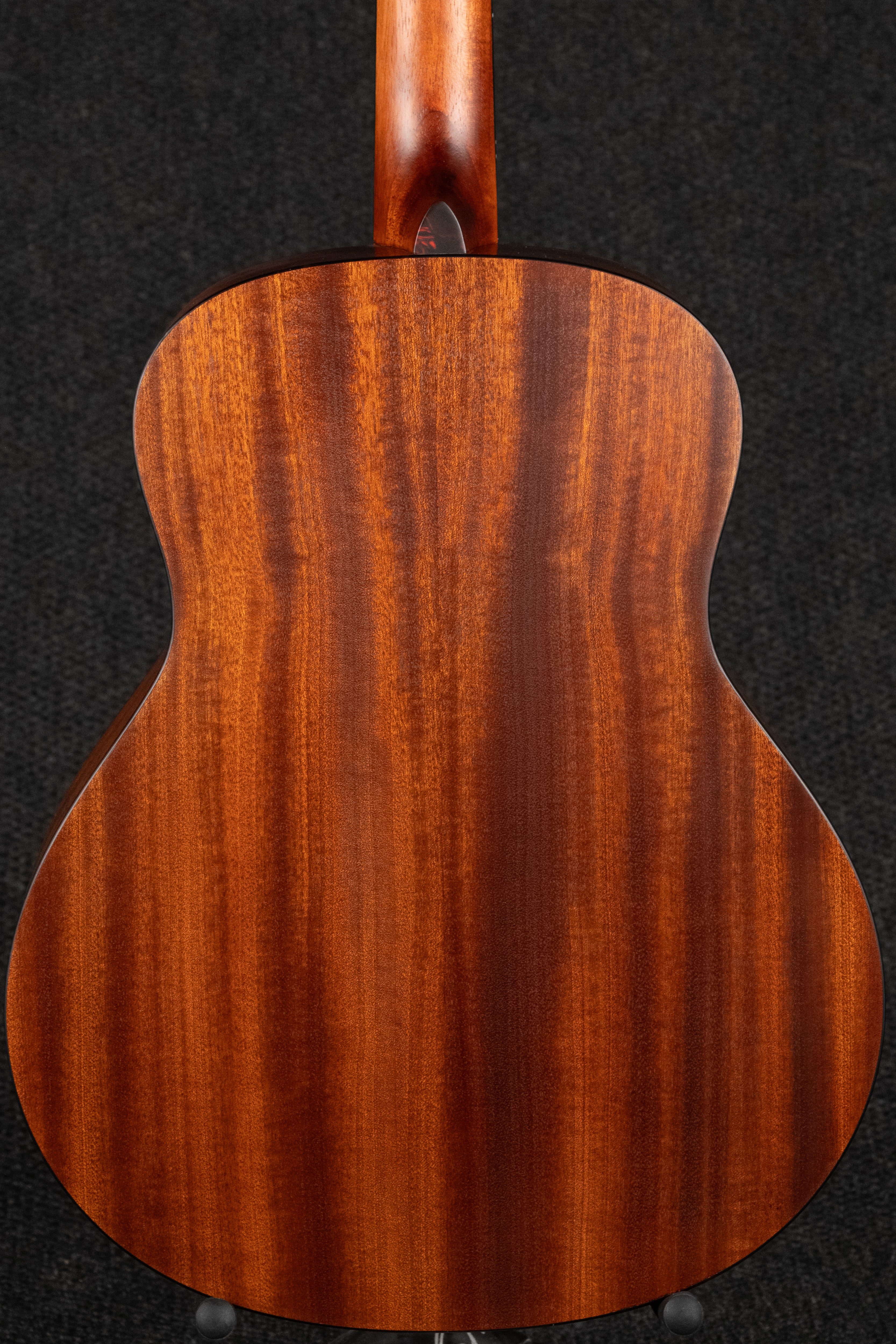ACTG1-CLA Acoustic