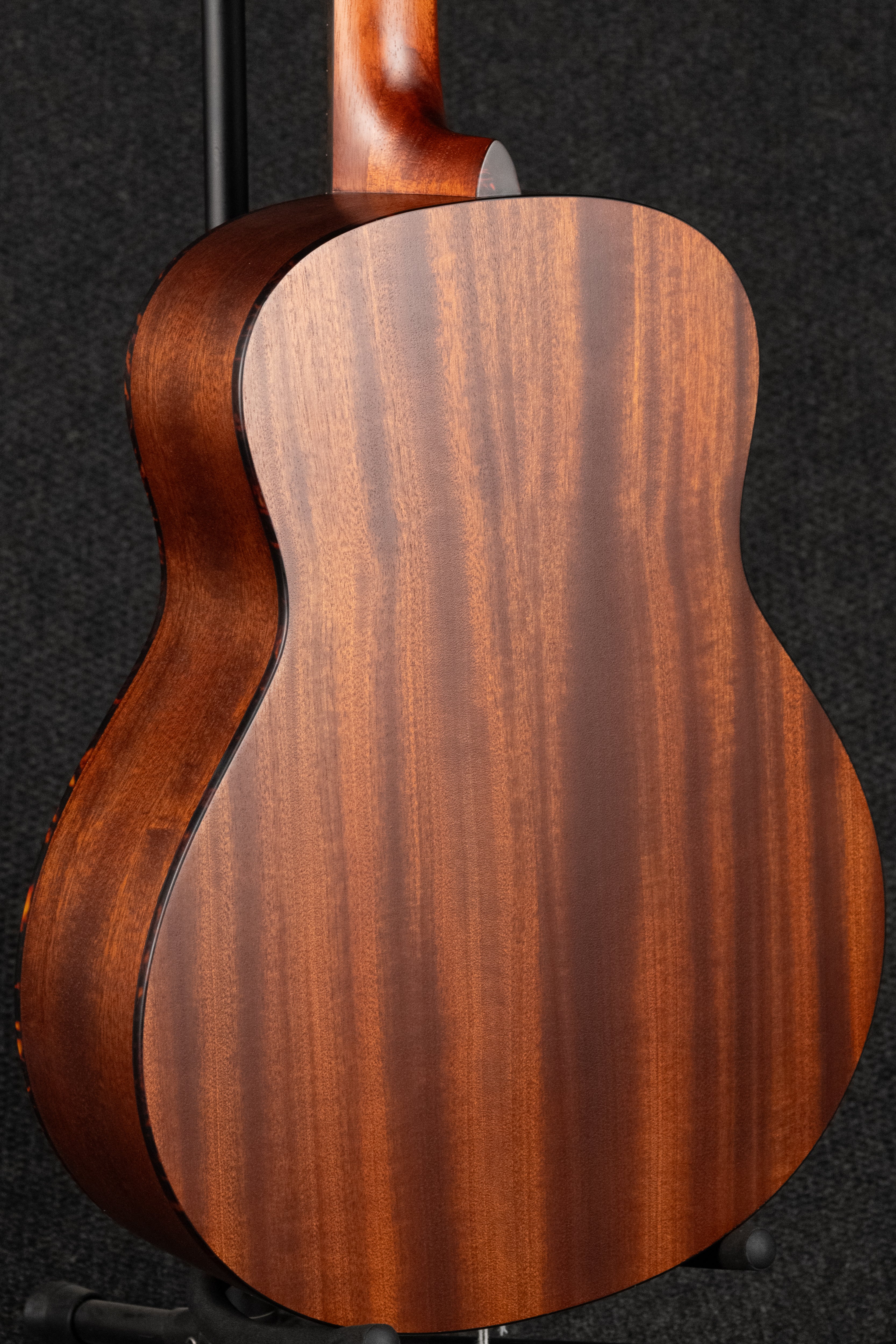 ACTG1-CLA Acoustic