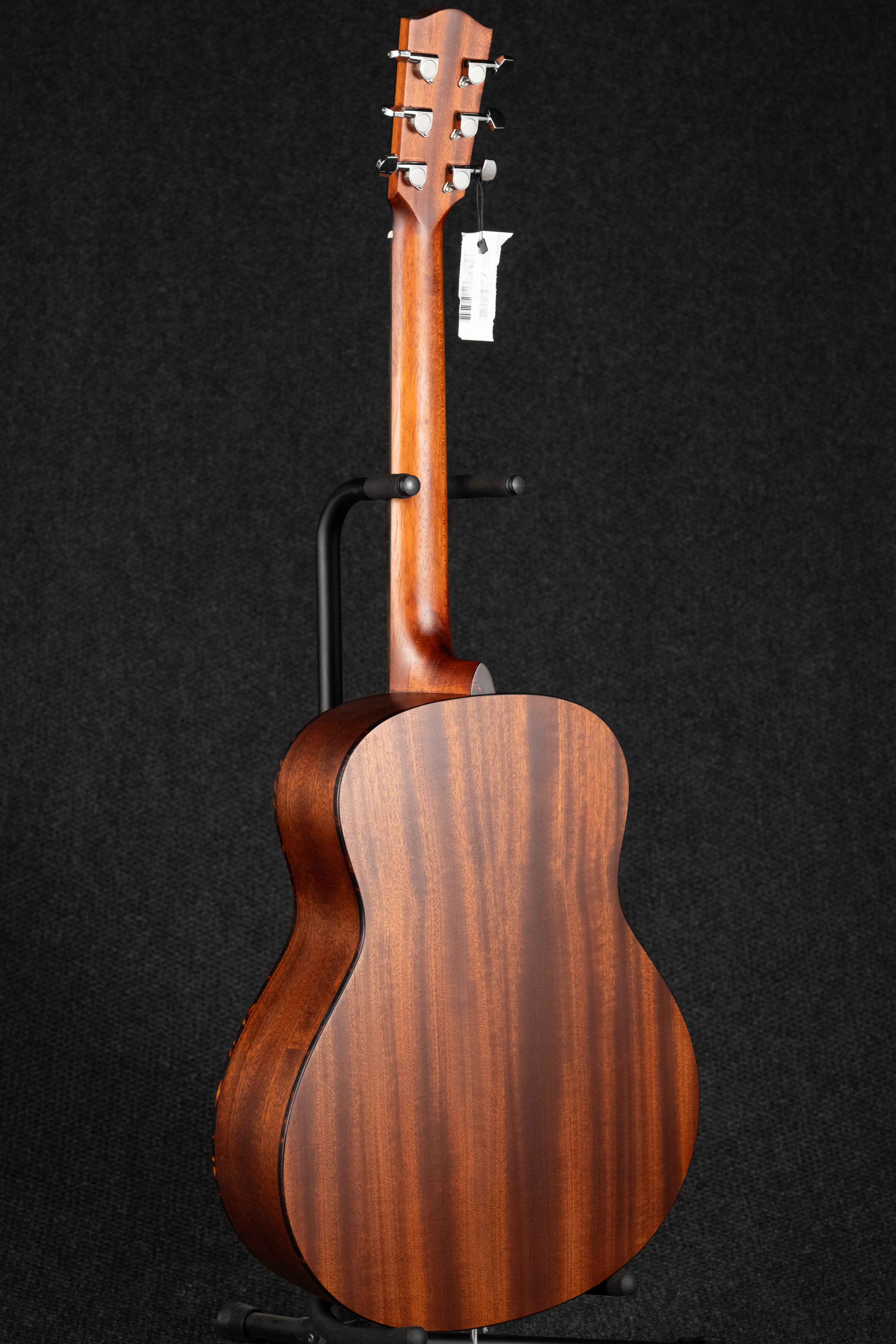 ACTG1-CLA Acoustic