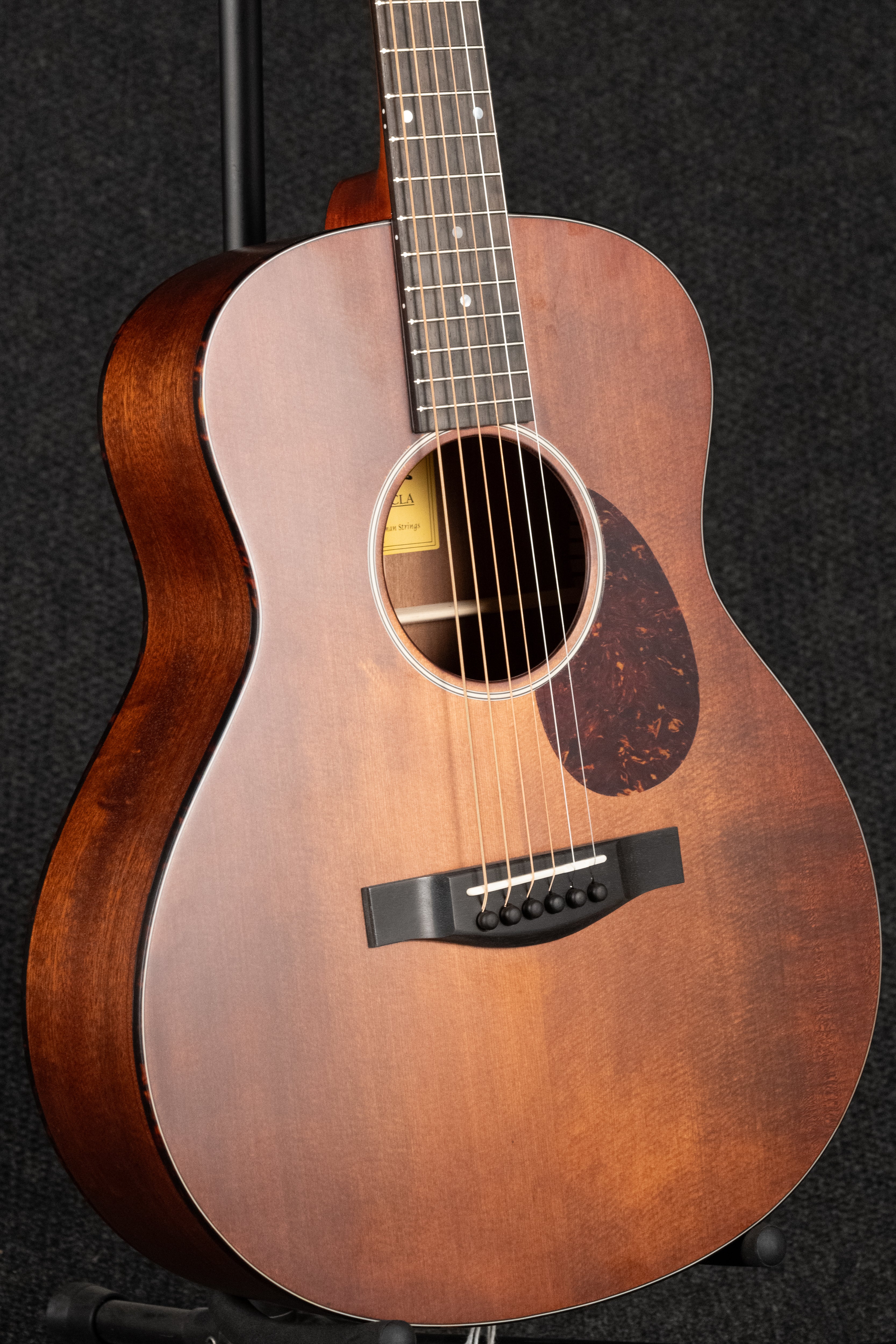 ACTG1-CLA Acoustic
