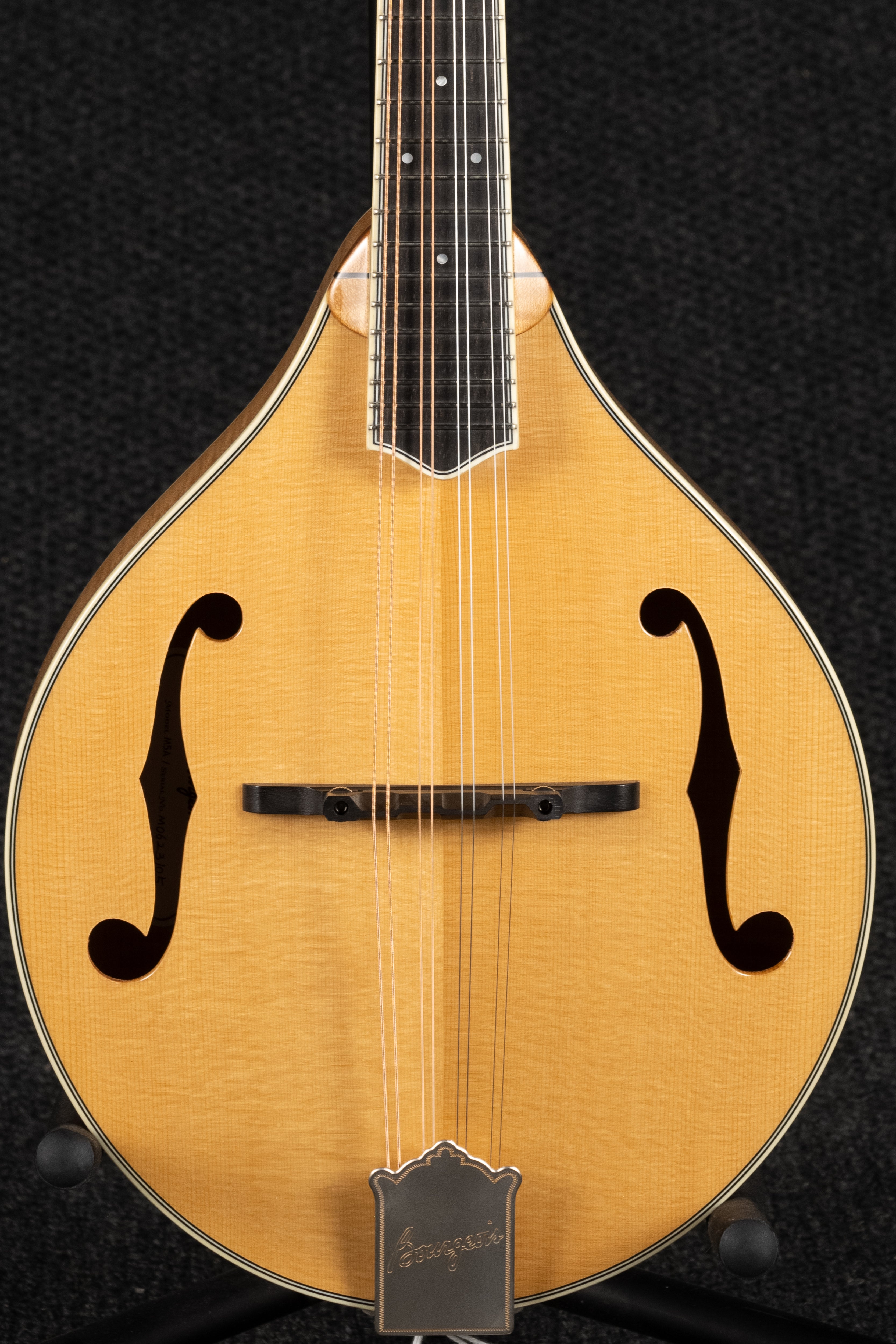 M5-A: A Style Mandolin
