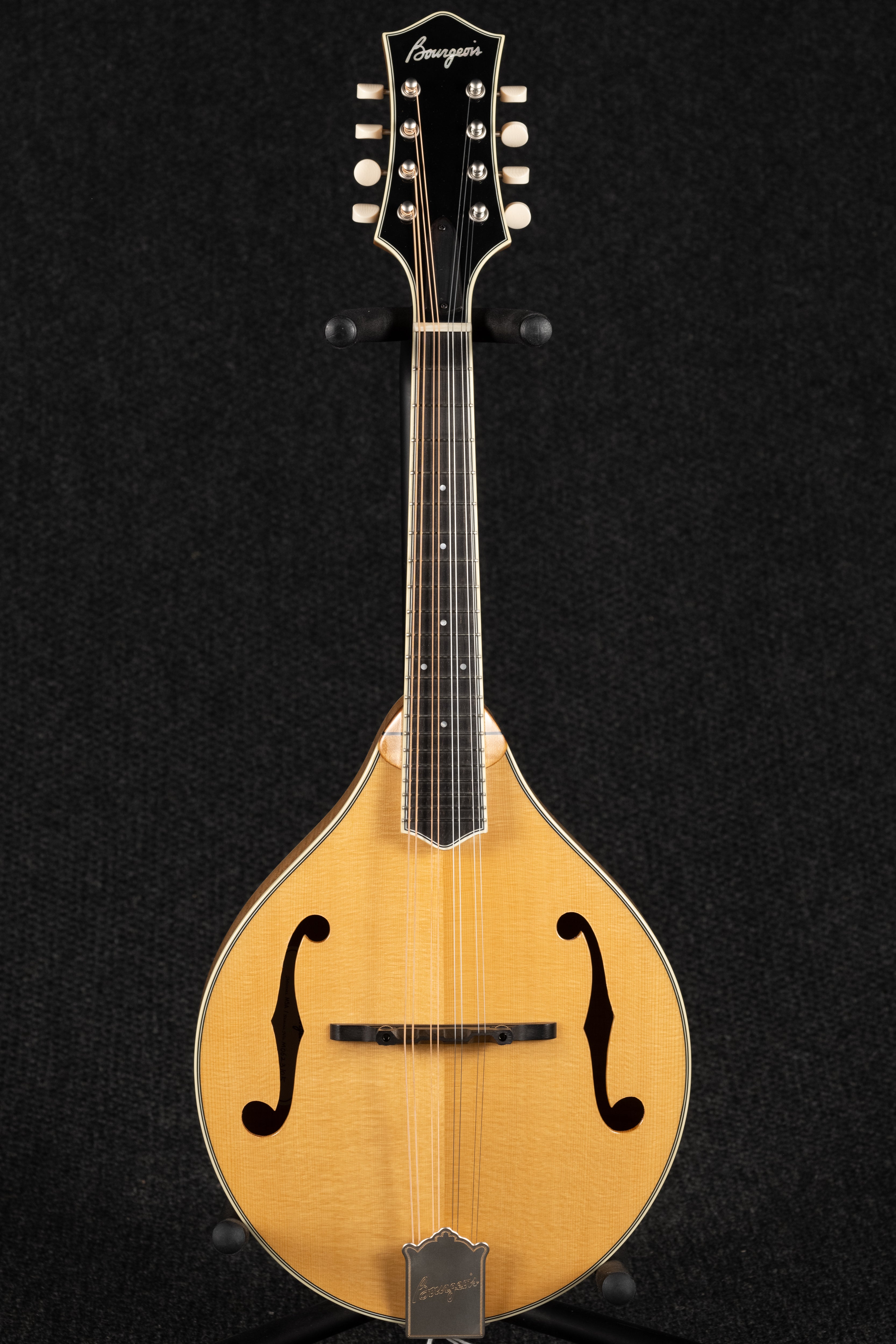 M5-A: A Style Mandolin